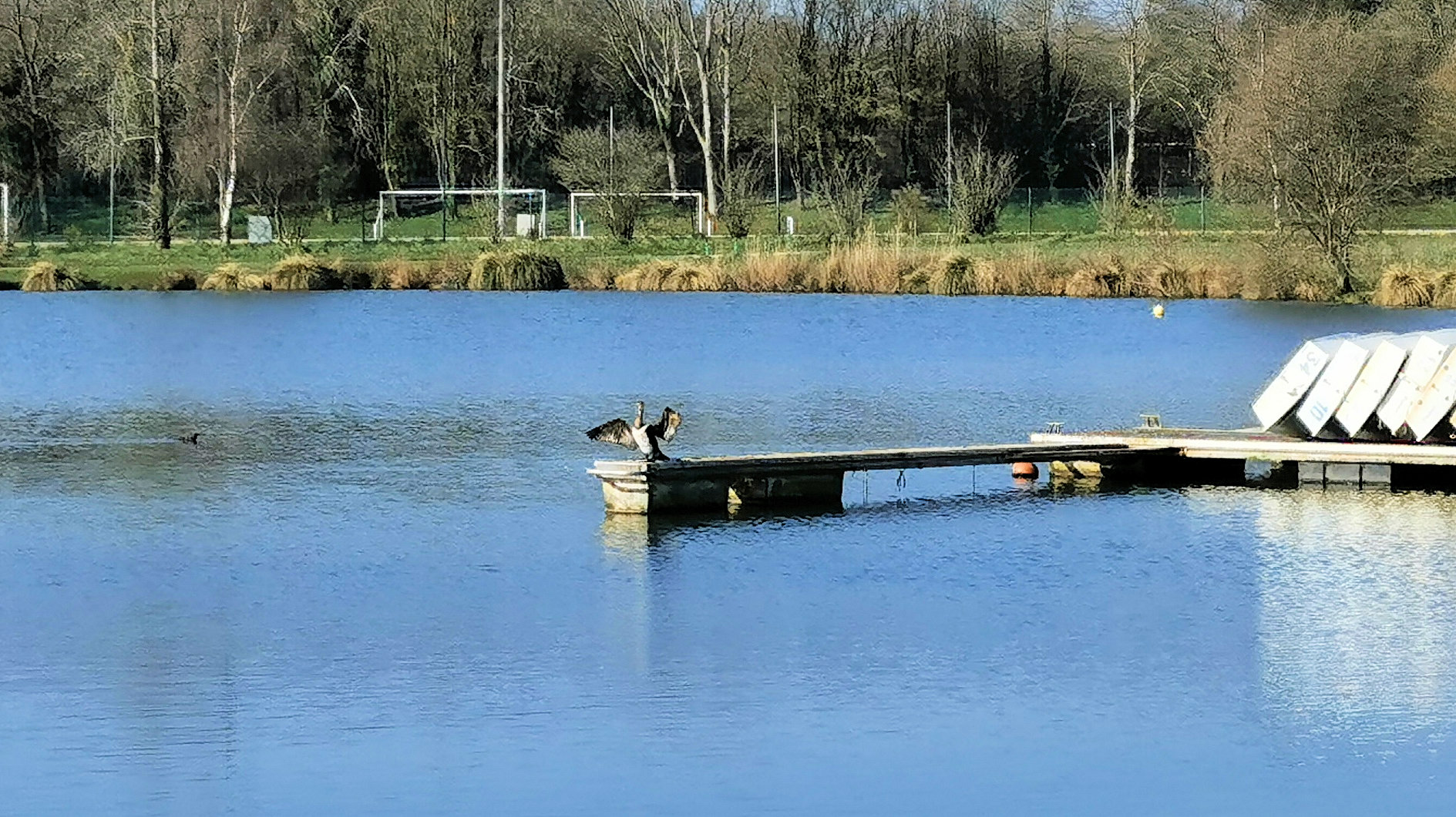 46-IMG_20210301_113041