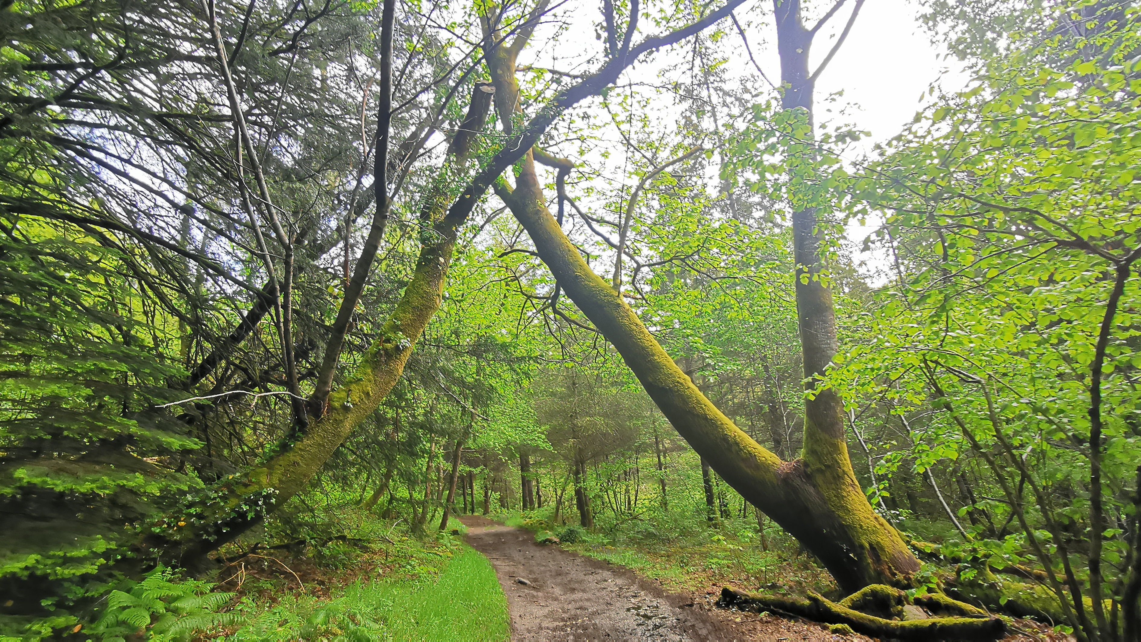 028-IMG_20210513_101345