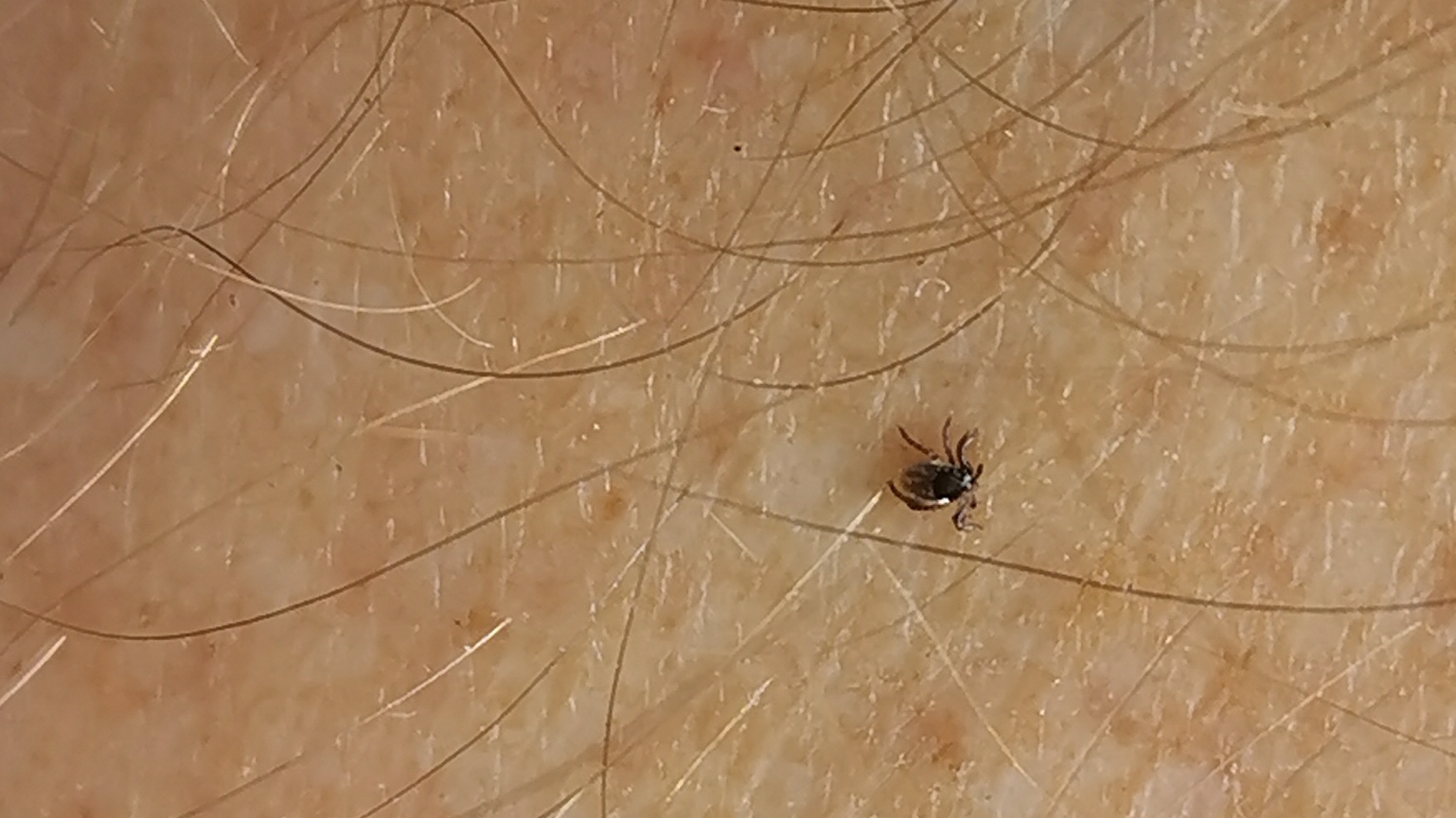 109-IMG_20210606_124644