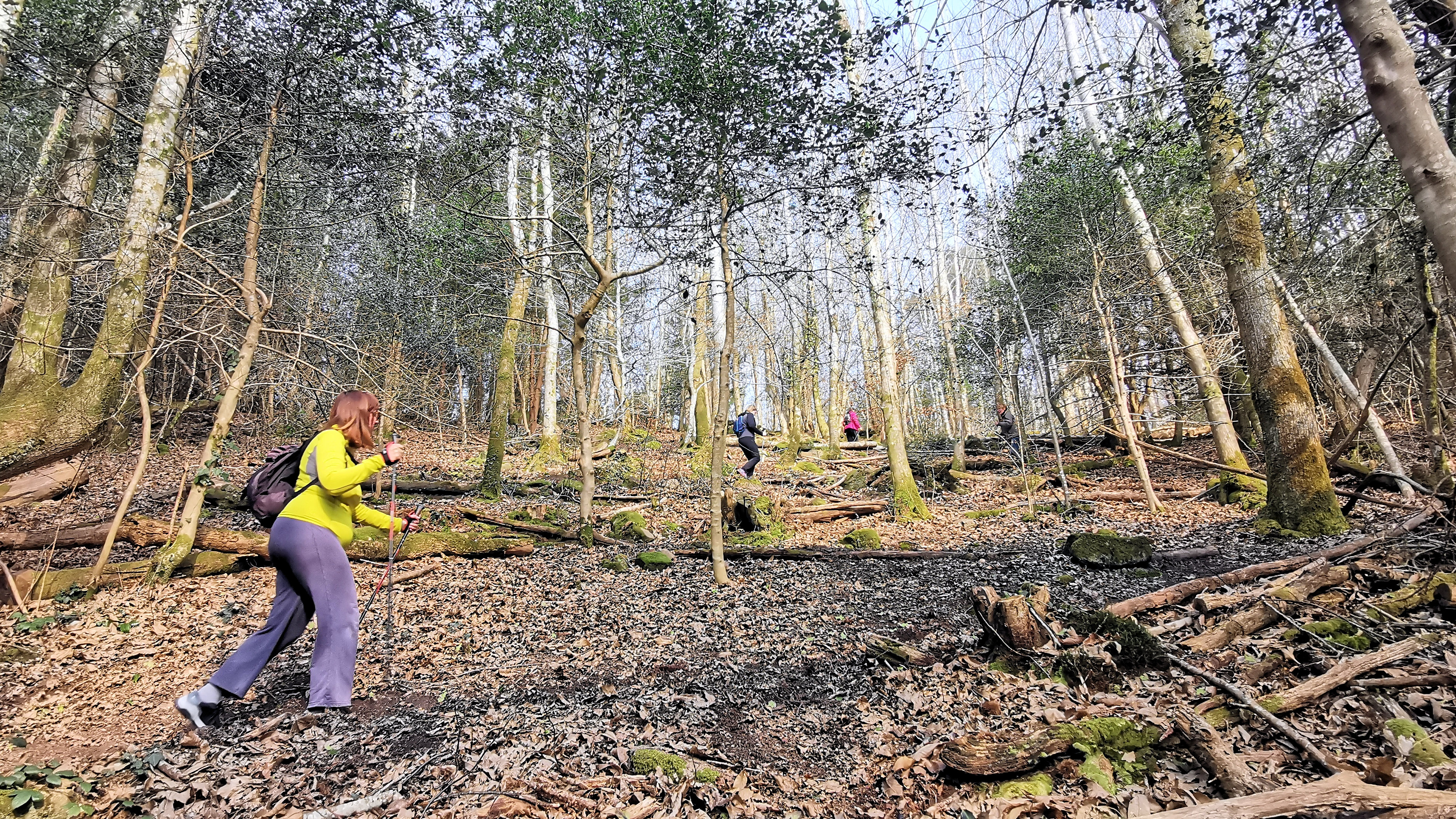 97-IMG_20210307_112741