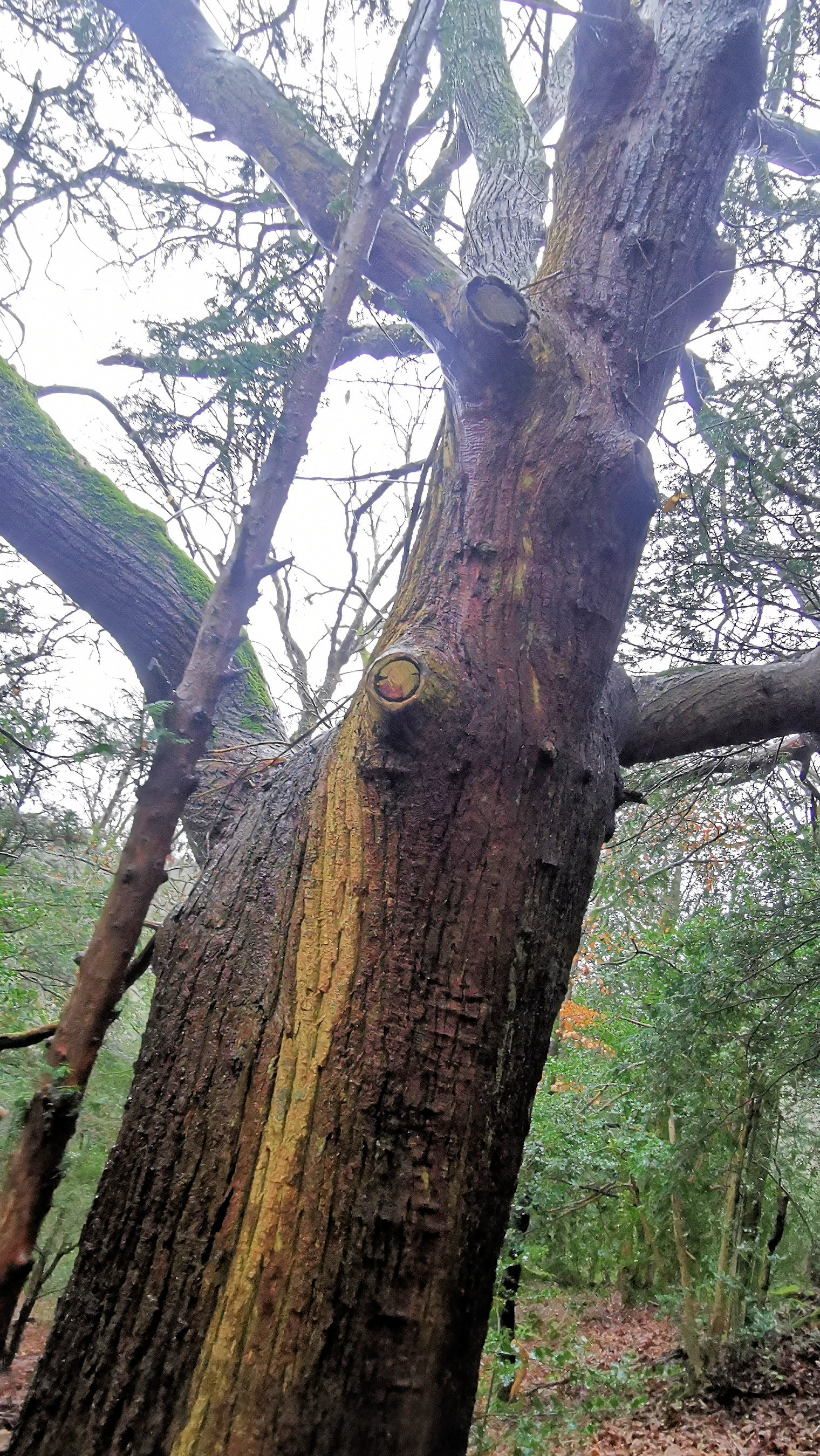 71-IMG_20210121_113732