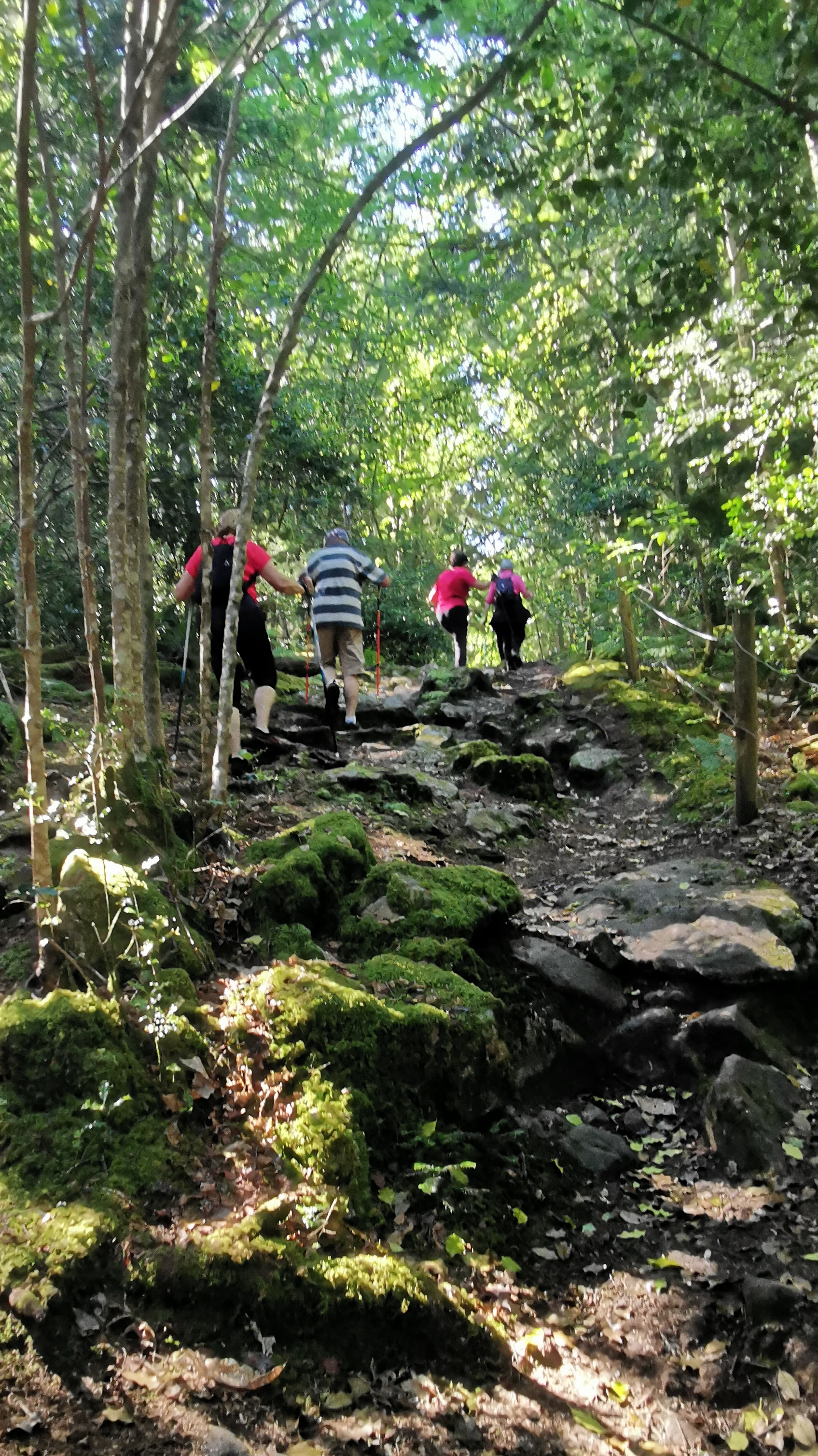 17-IMG_20210614_105853_1