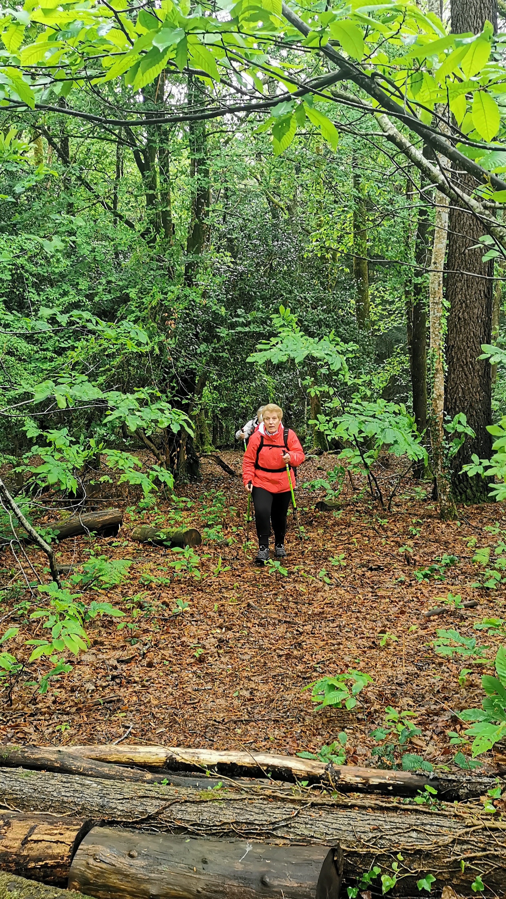 10-IMG_20210524_110407