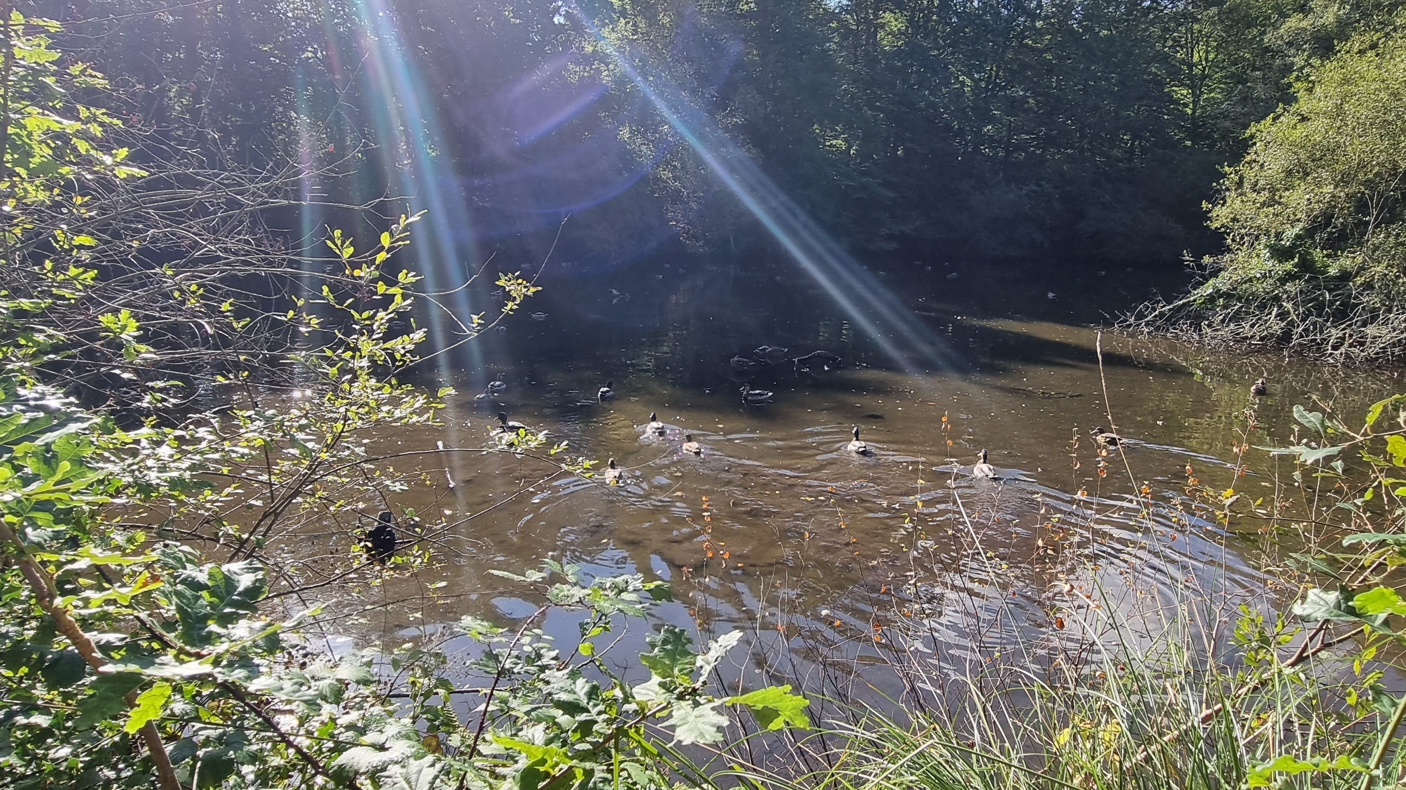 42-20210916_110738(0)