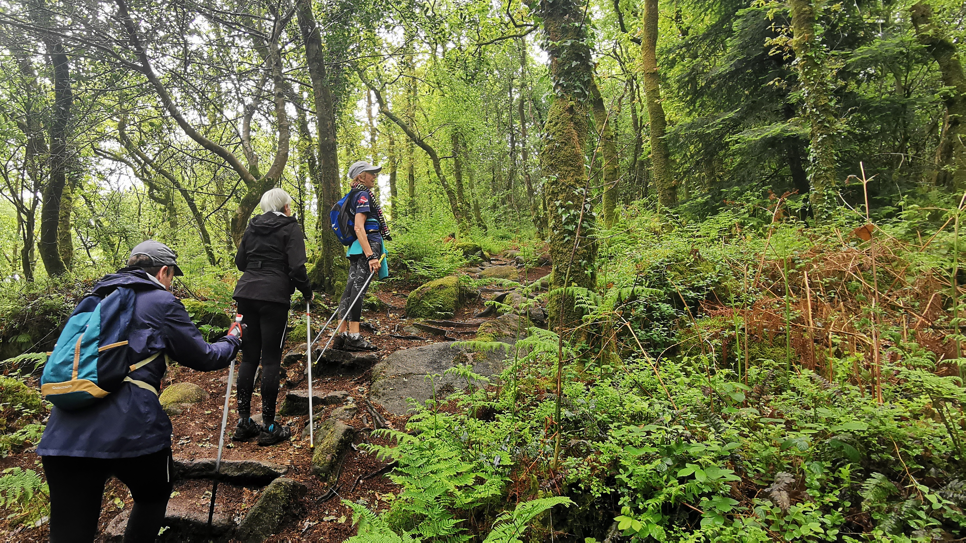 118-IMG_20210513_113053