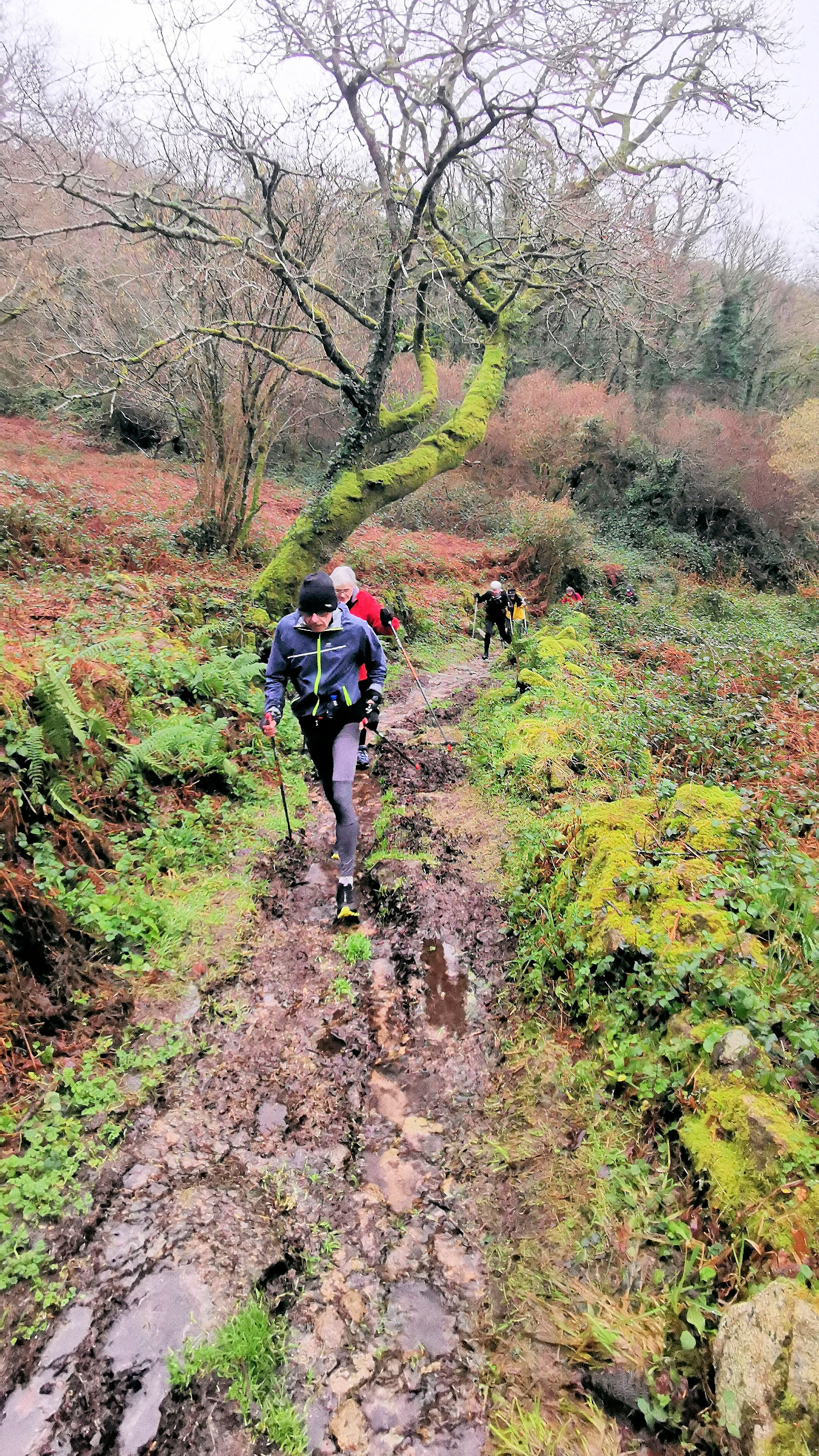 17-IMG_20210121_101212