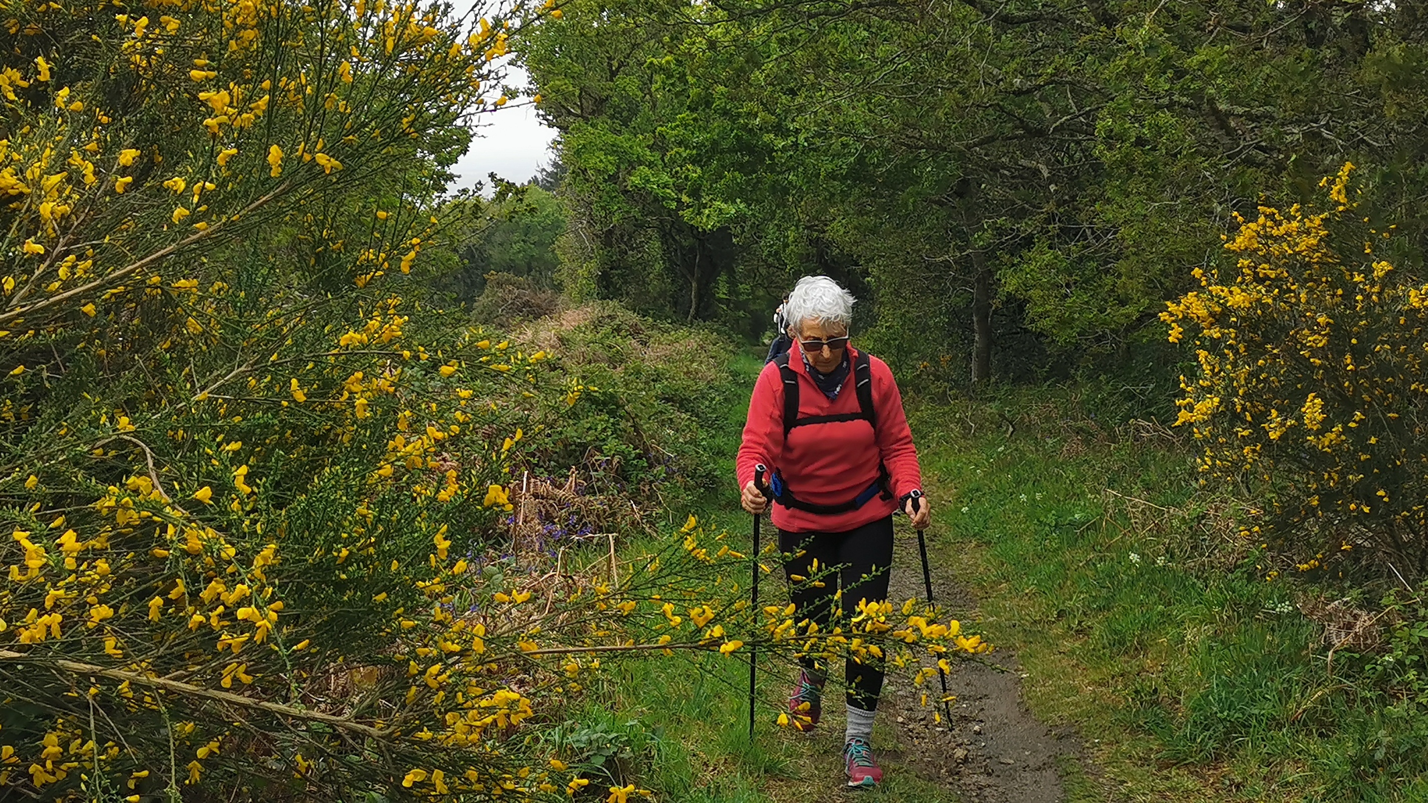 60-IMG_20210508_112305