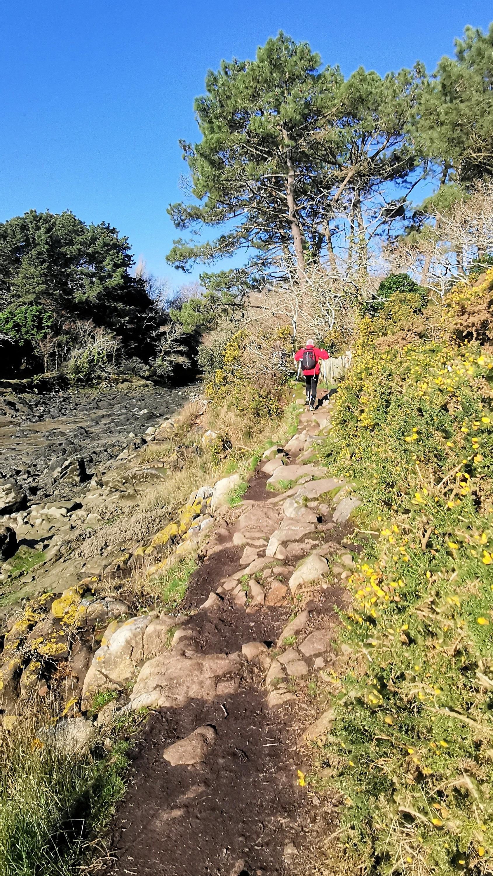 057-IMG_20210228_103003