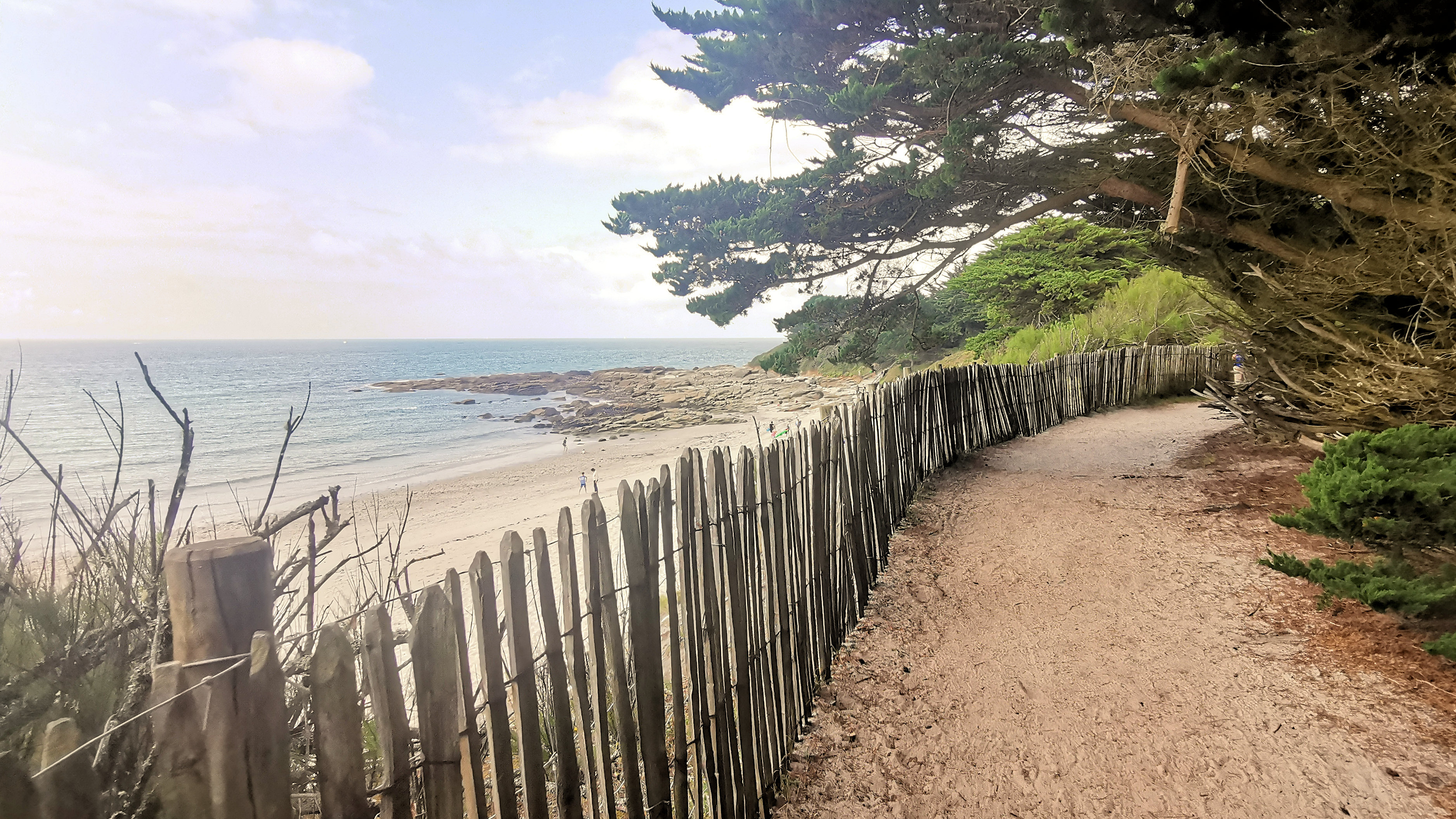 23-IMG_20210726_110211