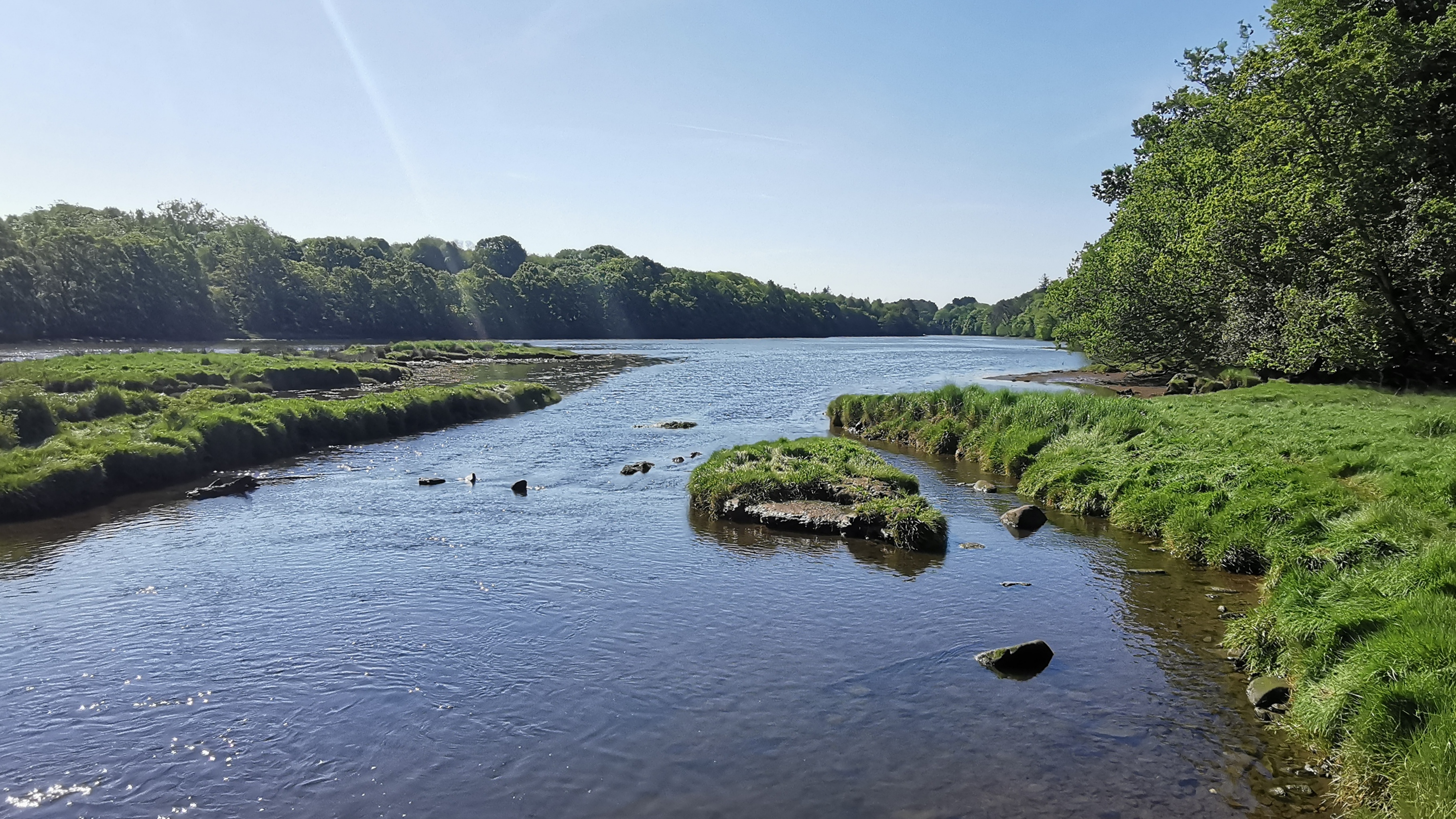 41-IMG_20210531_105948