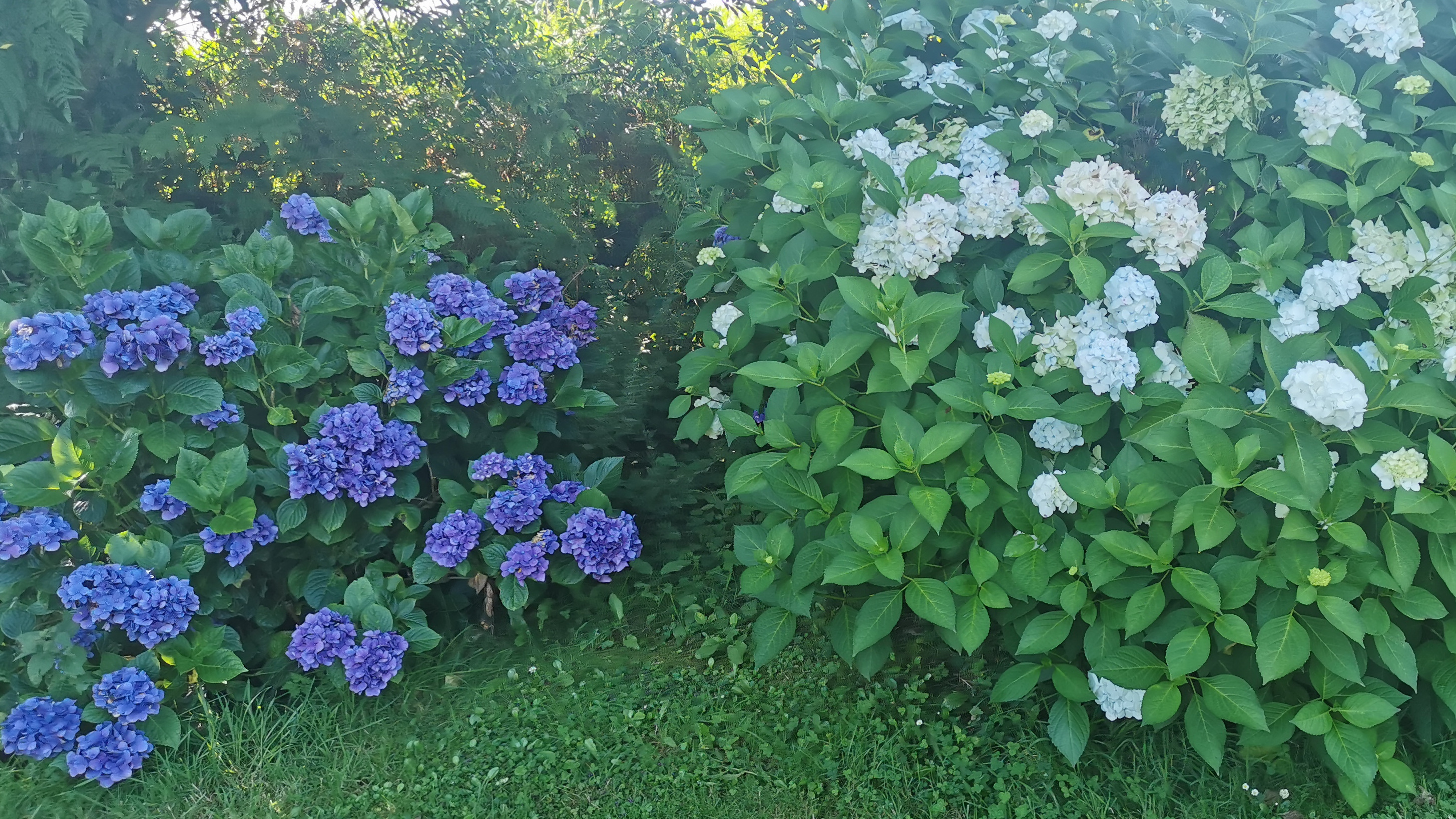 32-IMG_20210812_112438