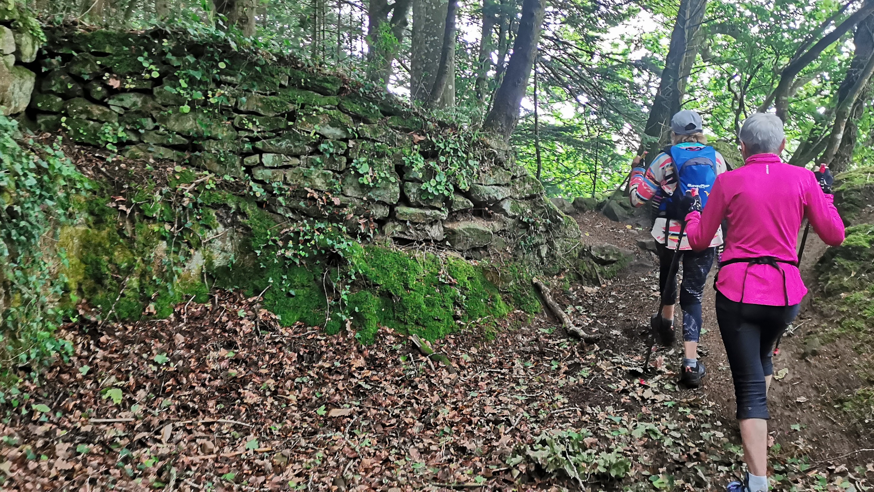 15-IMG_20210527_101220