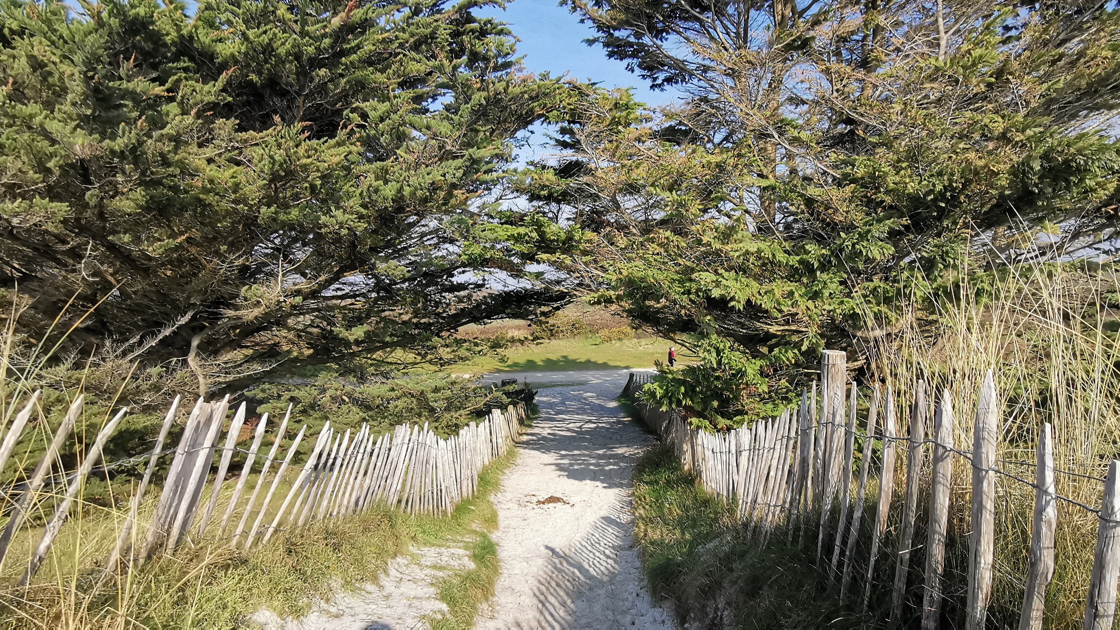 26-IMG_20210309_105201