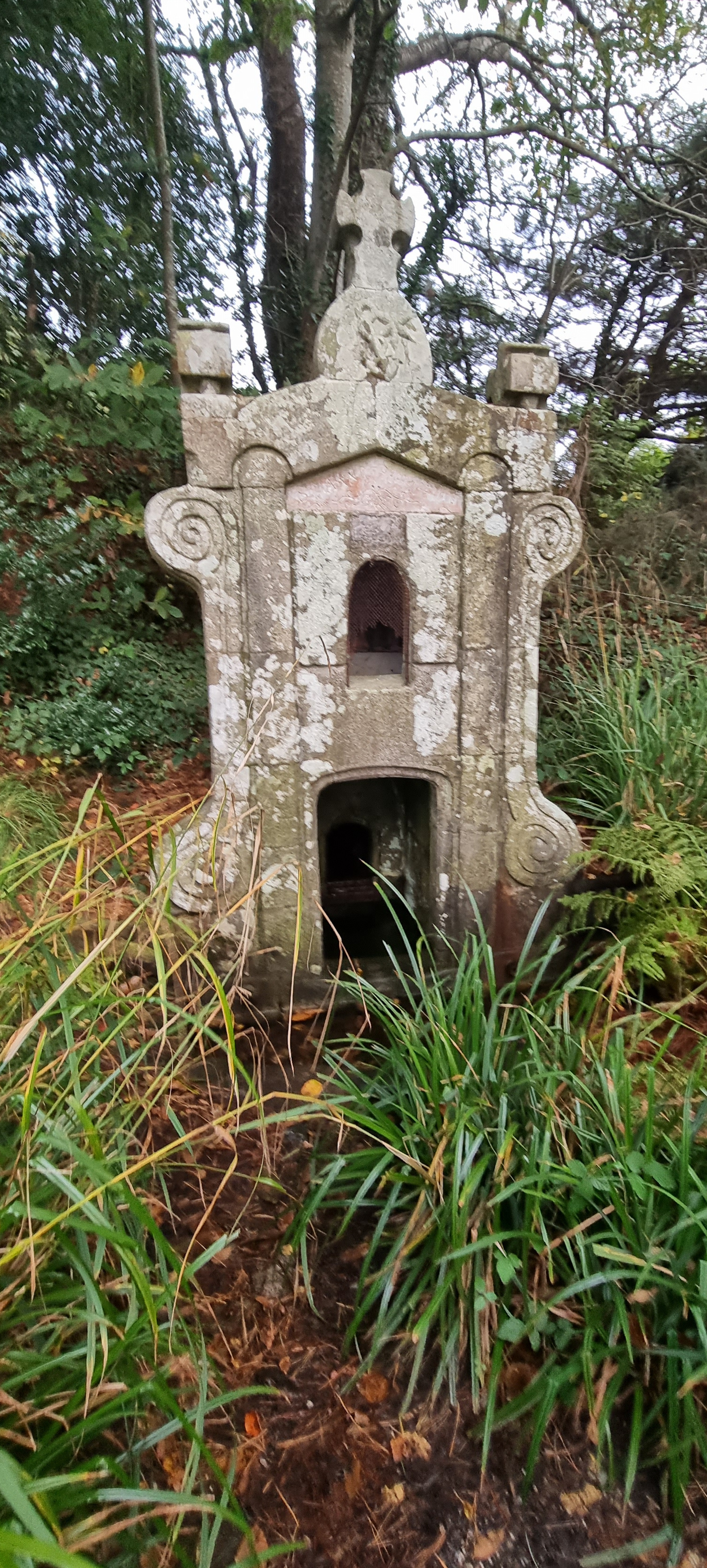 25-20211019_183816(0)