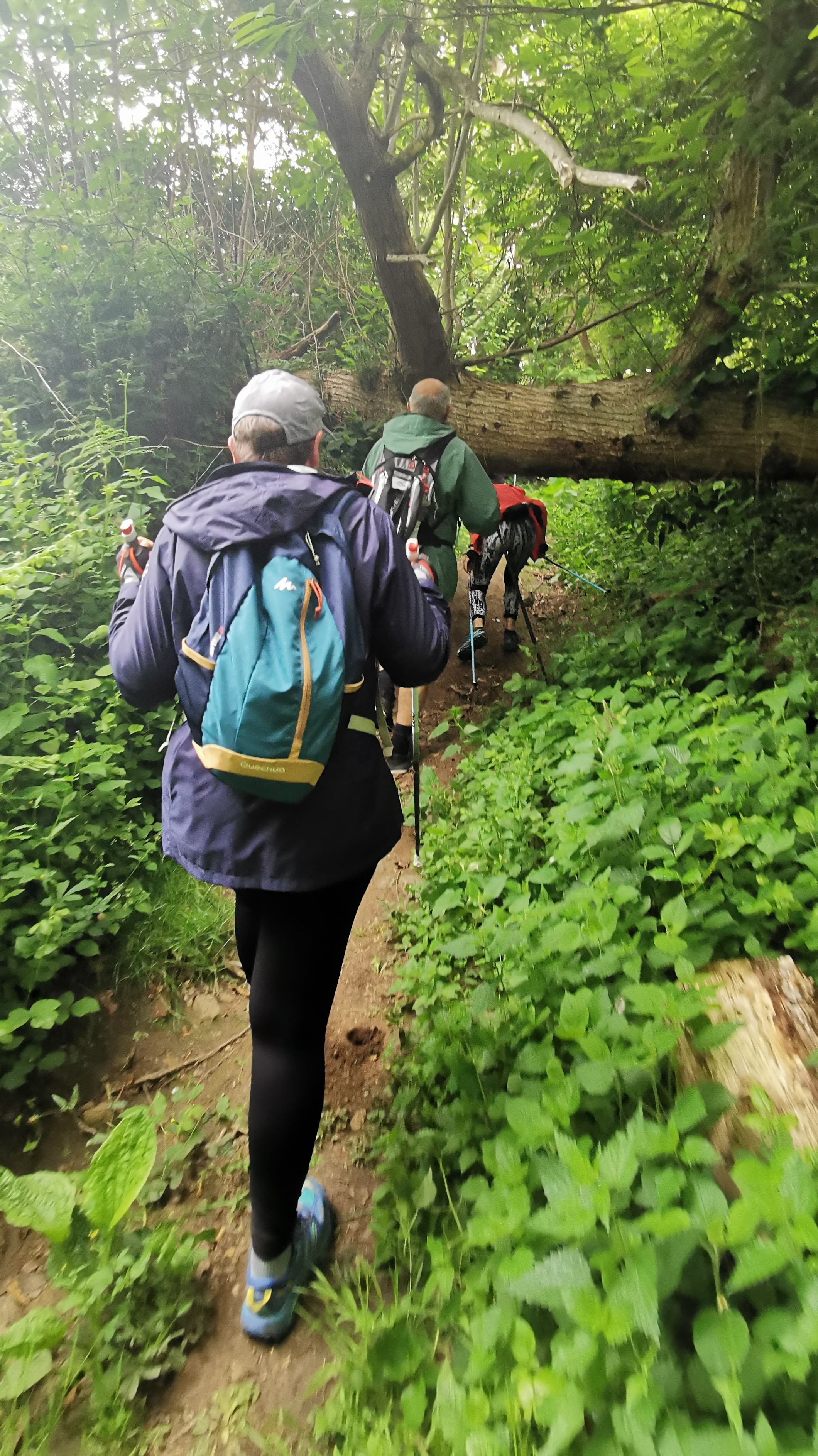 030-IMG_20210606_095702_1