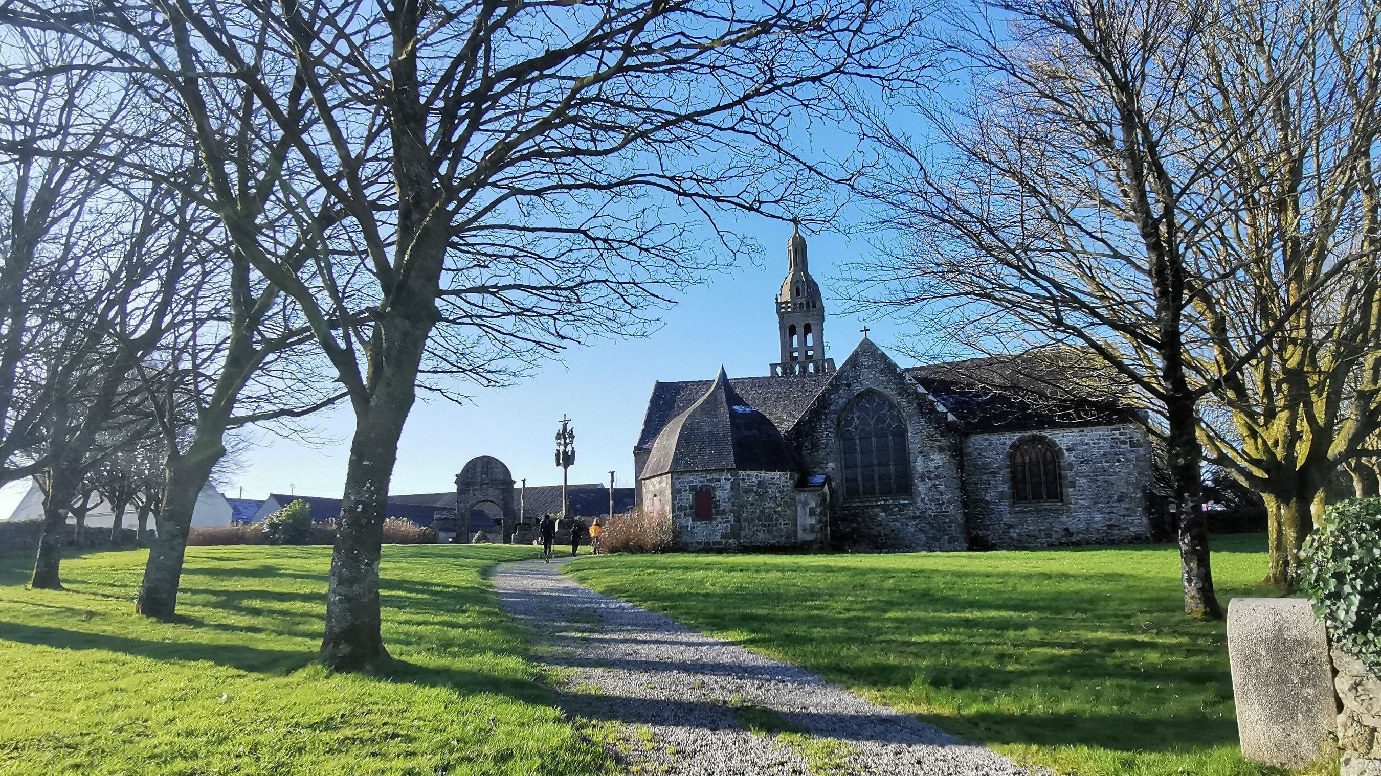 160-IMG_20210110_115250_1