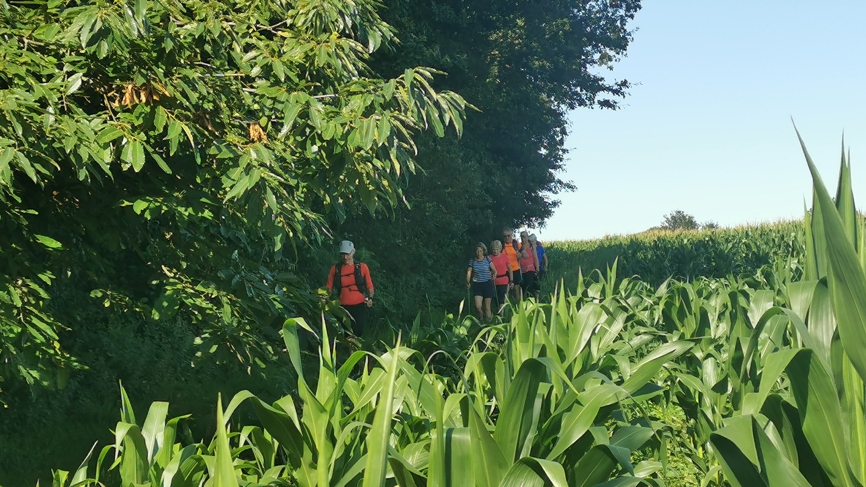 21-IMG_20210812_111210