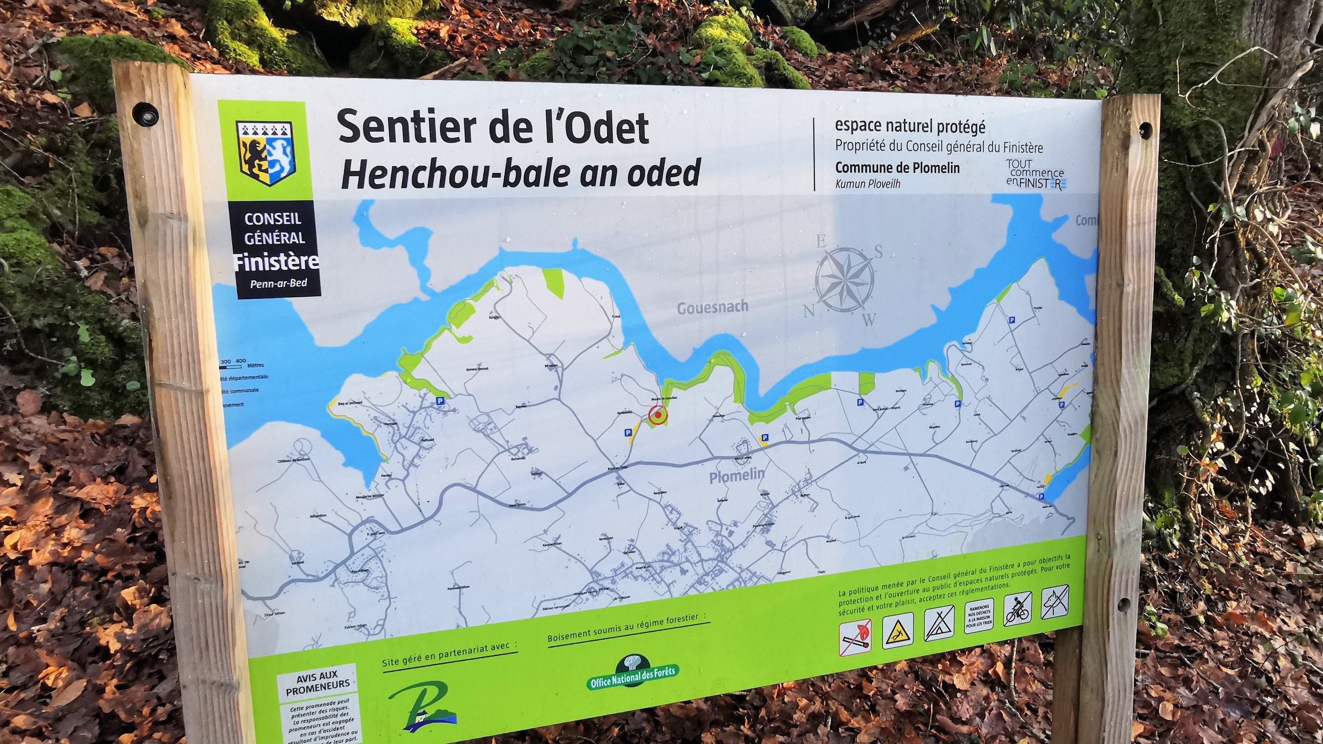 14-IMG_20210109_103623