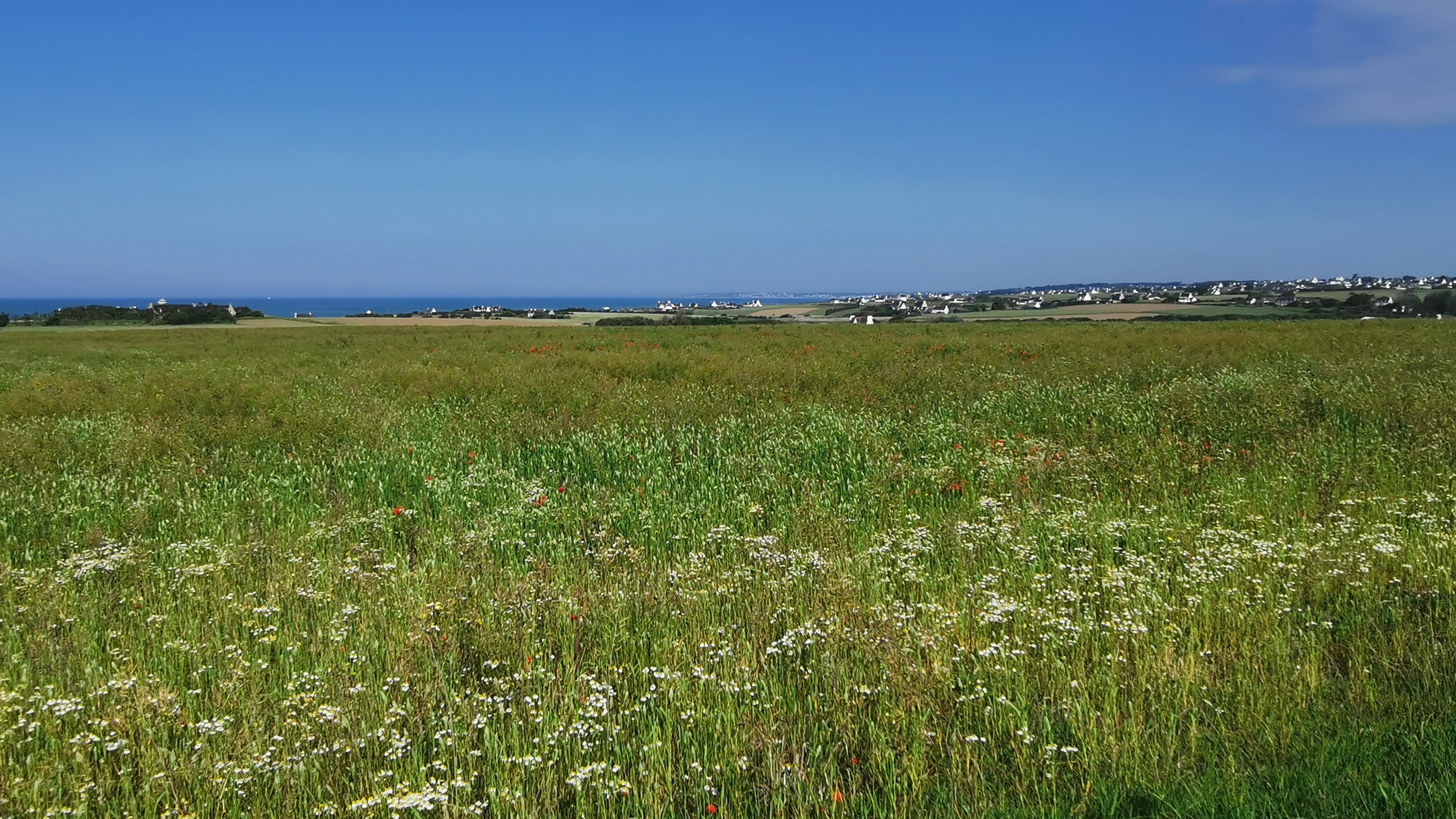 07-IMG_20210530_101649