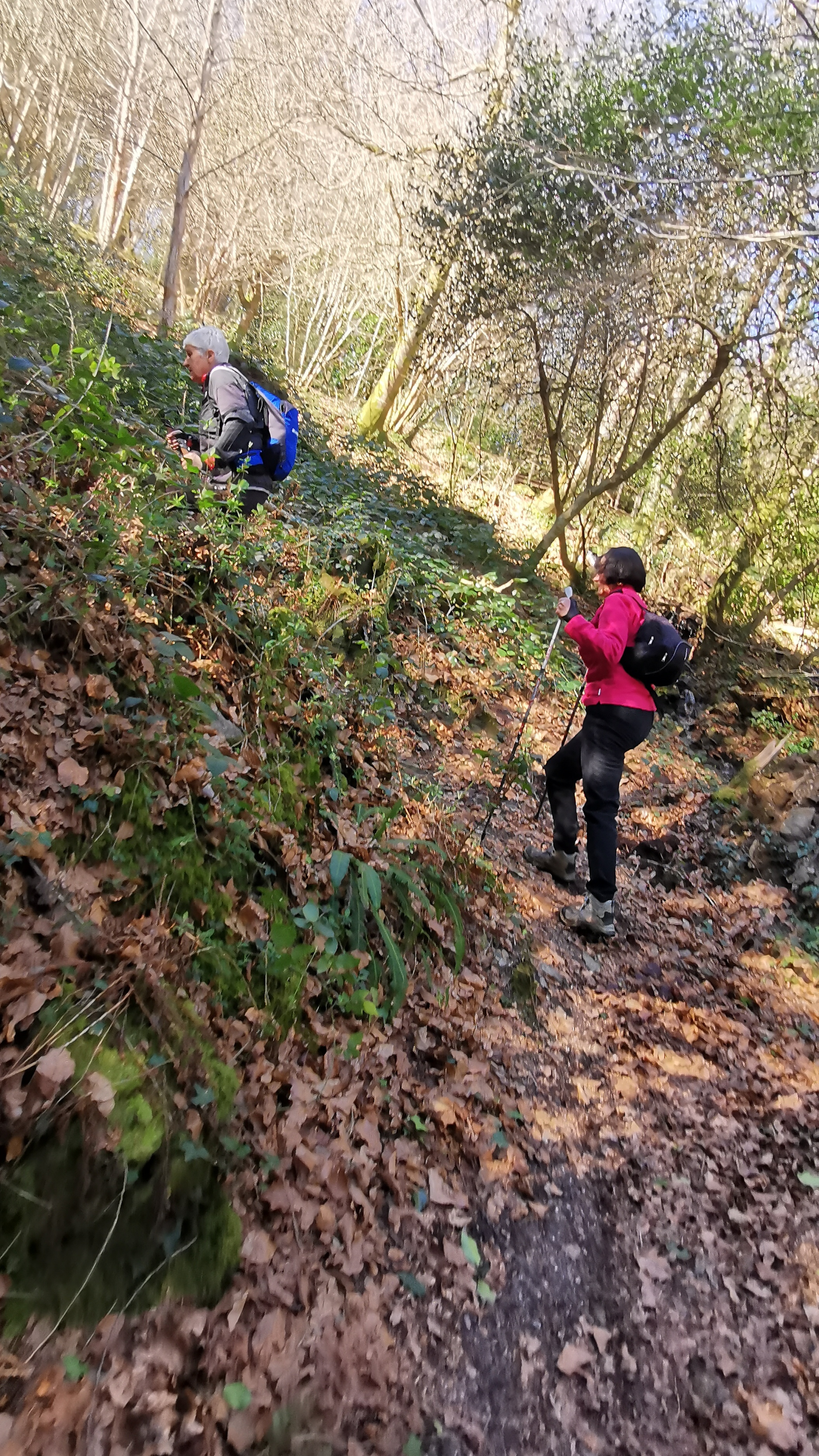 45-IMG_20210320_113041