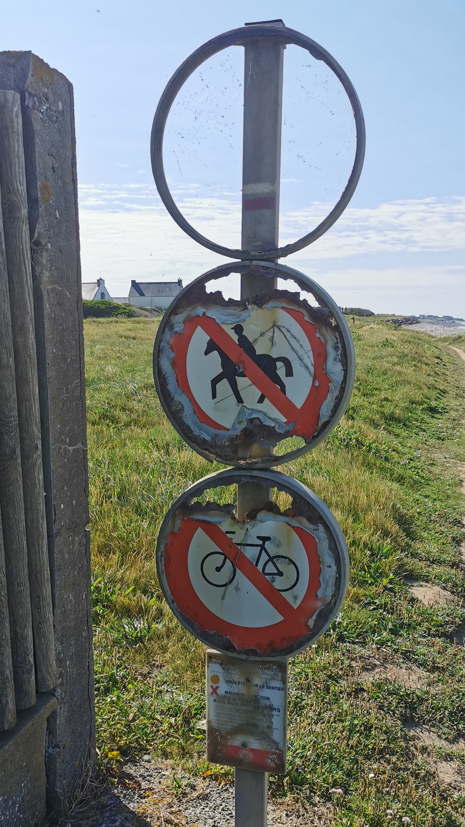 31-IMG_20210530_104424