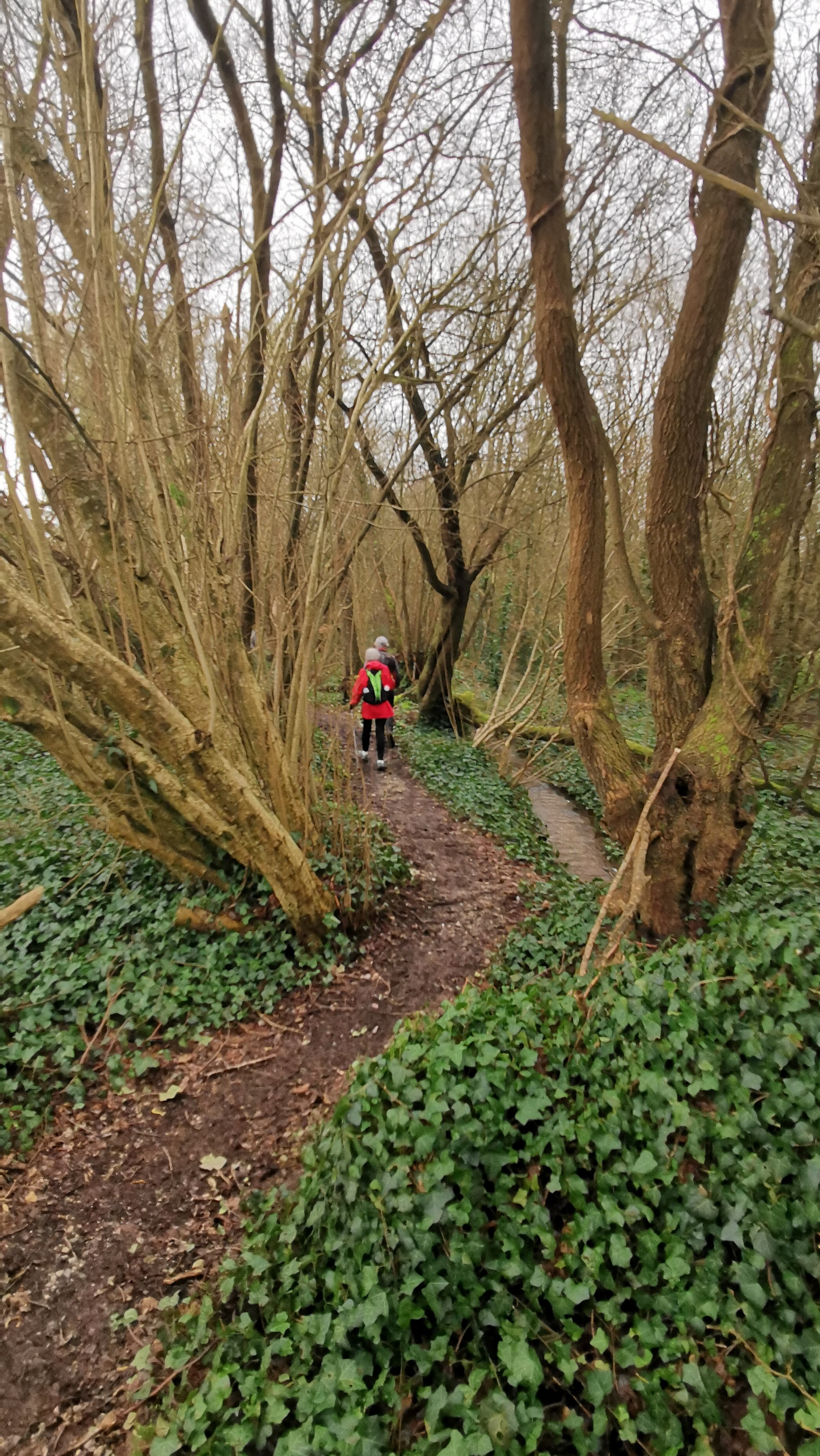 079-IMG_20210220_113414