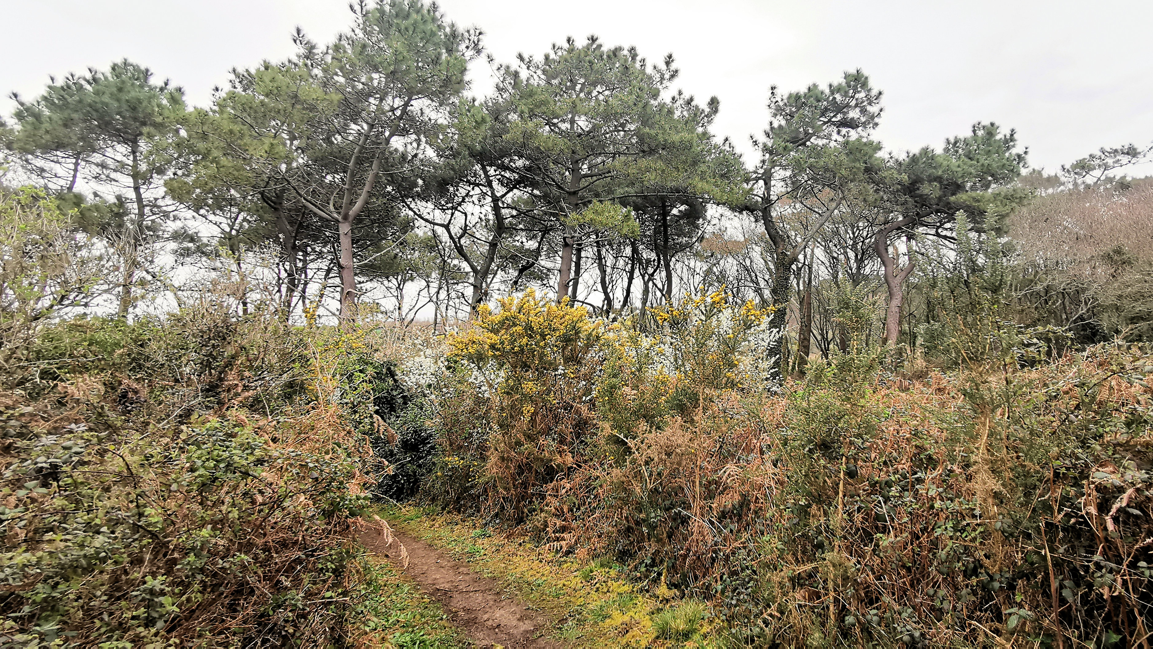 22-IMG_20210321_100605