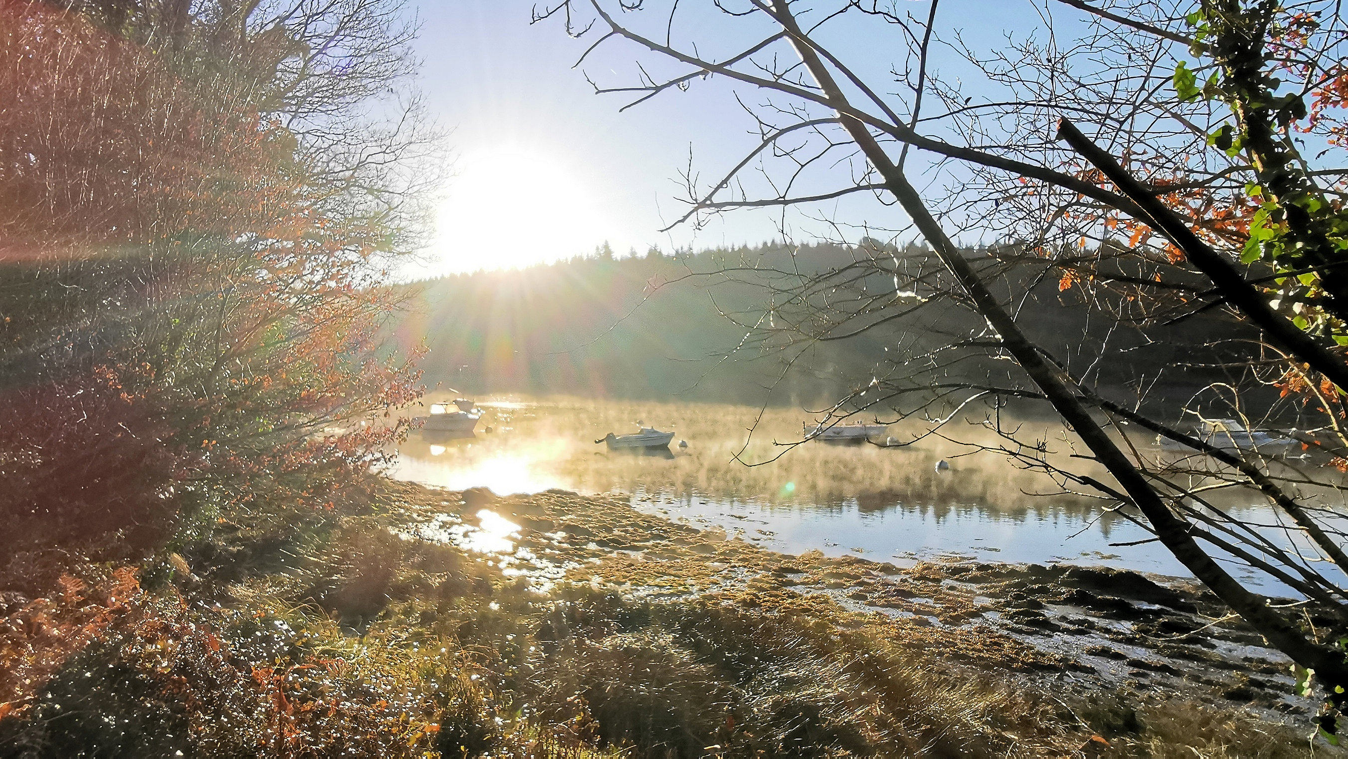 09-IMG_20210207_094451