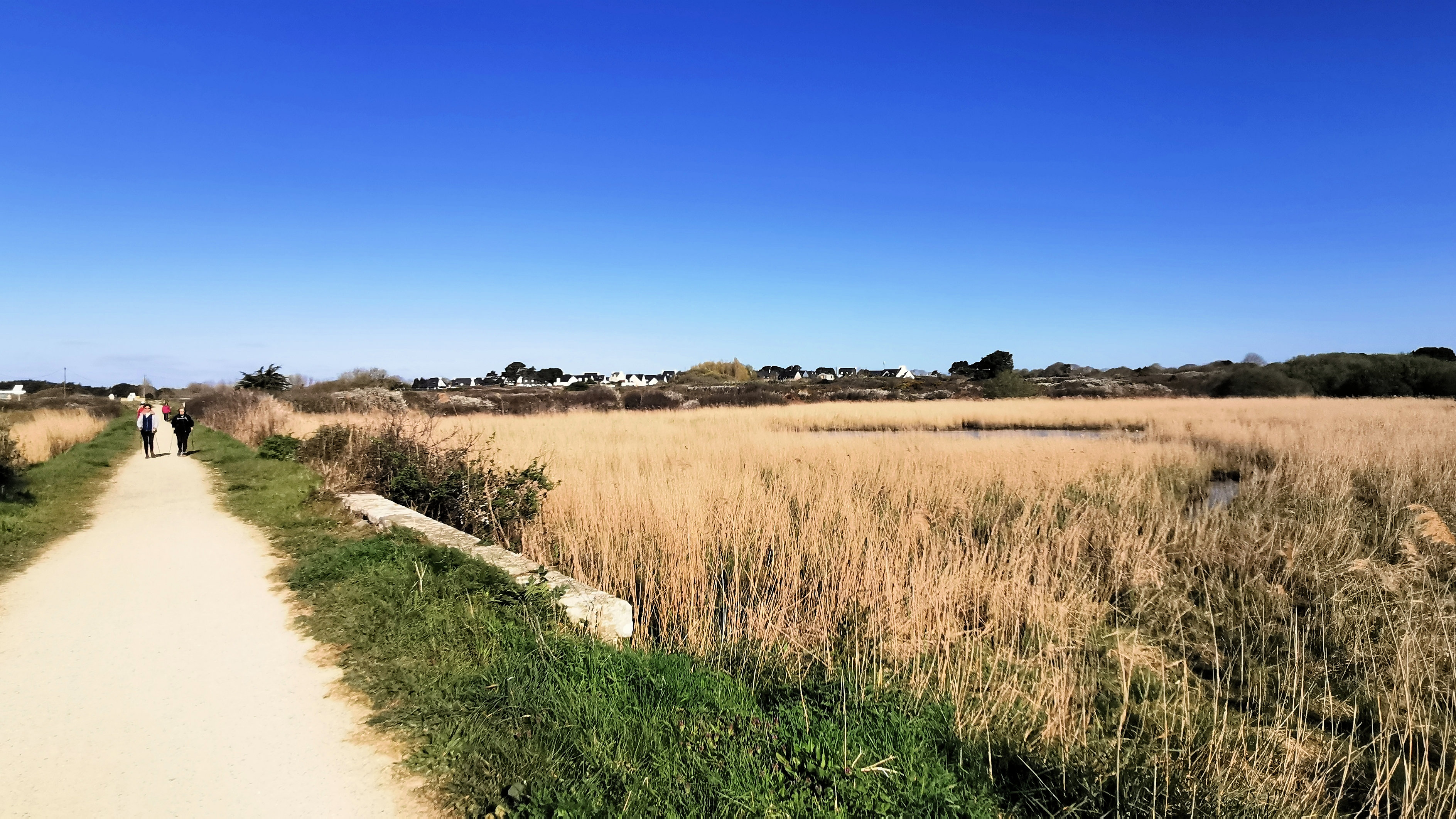 18-IMG_20210403_102844