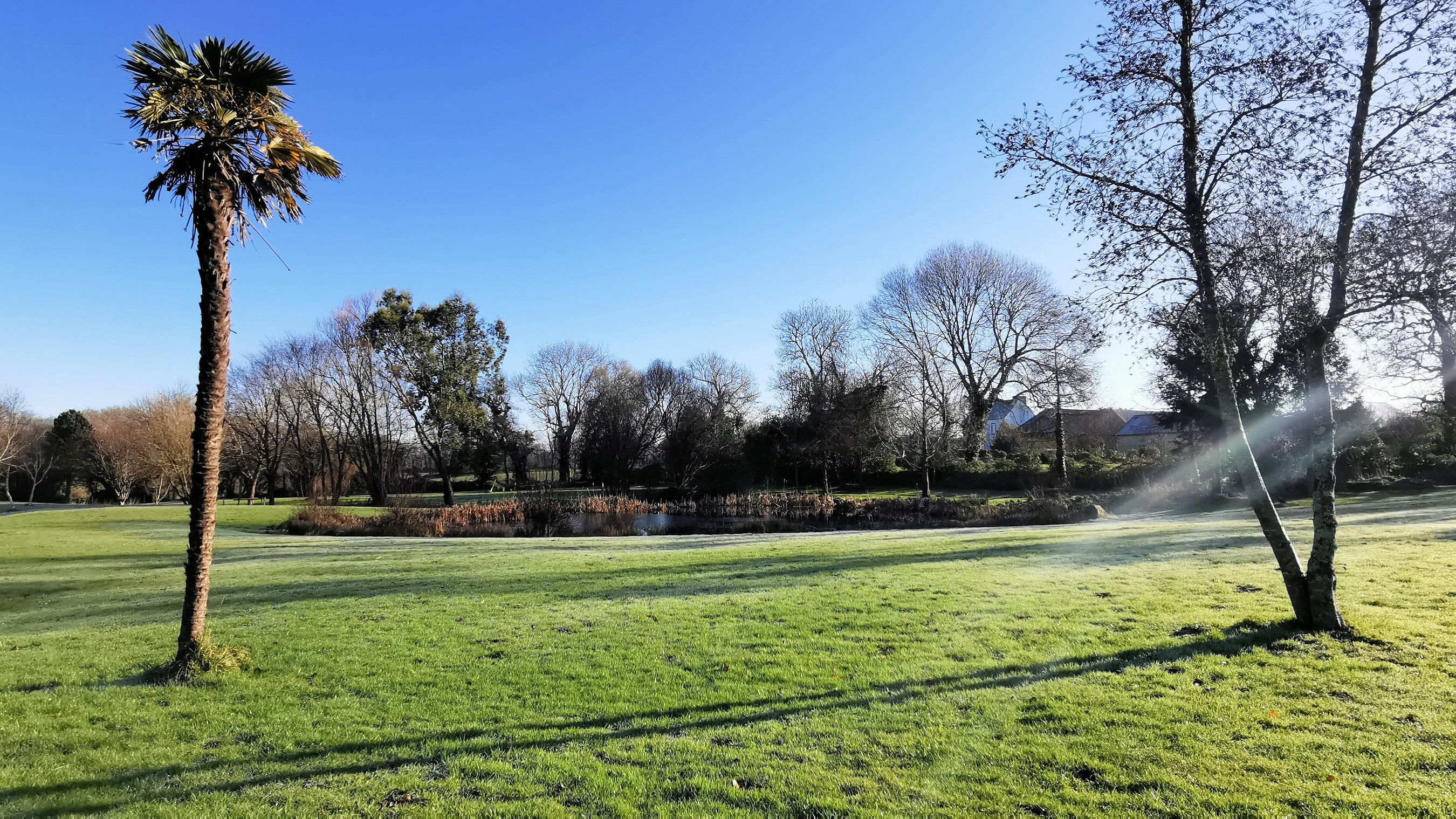 59-IMG_20210109_114212