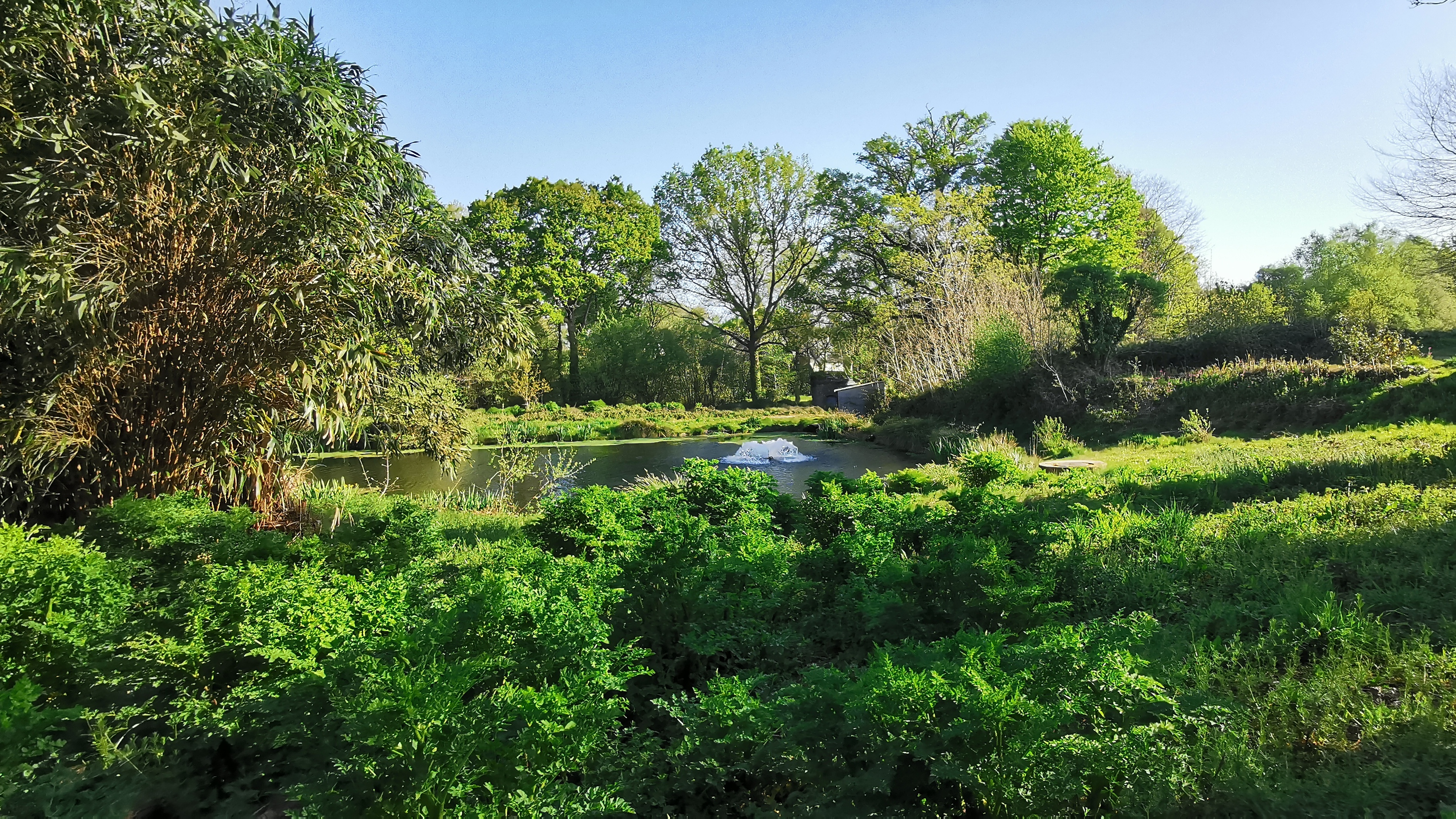 09-IMG_20210425_095258