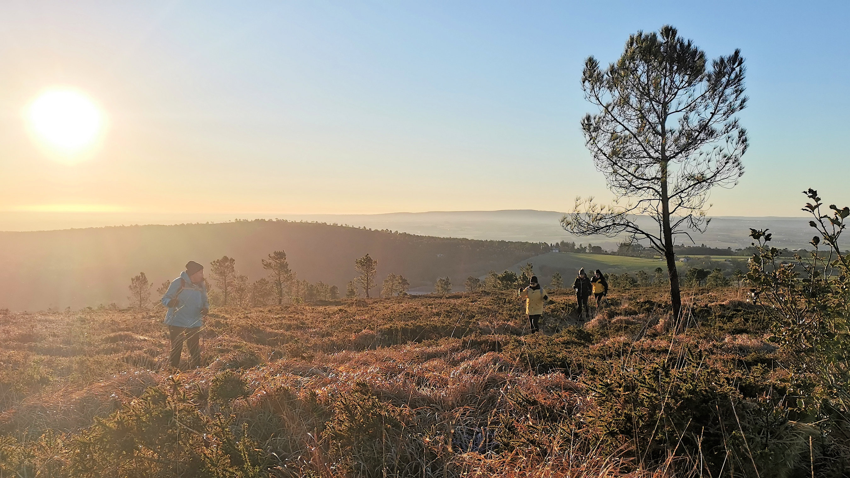 015-IMG_20210110_095422