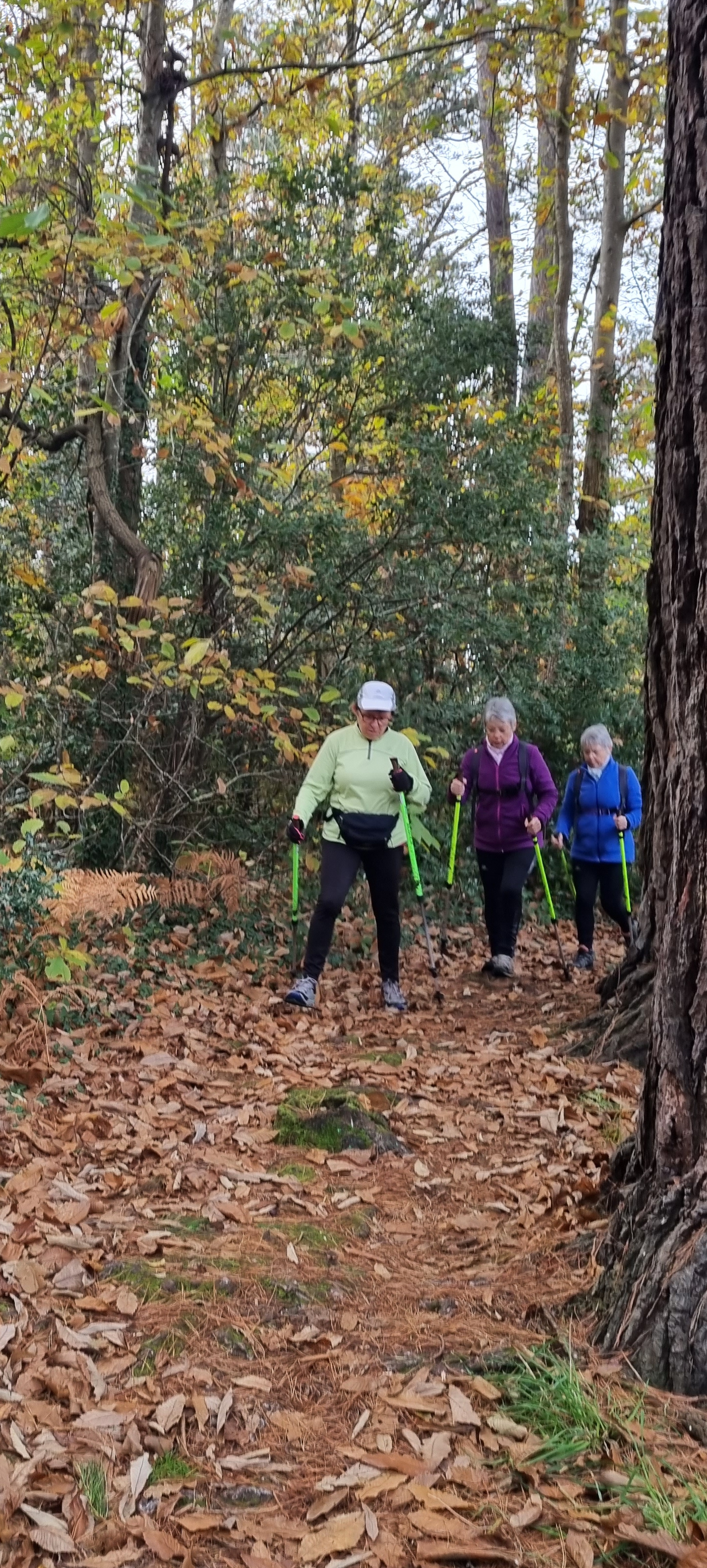 05-20211108_094940(0)