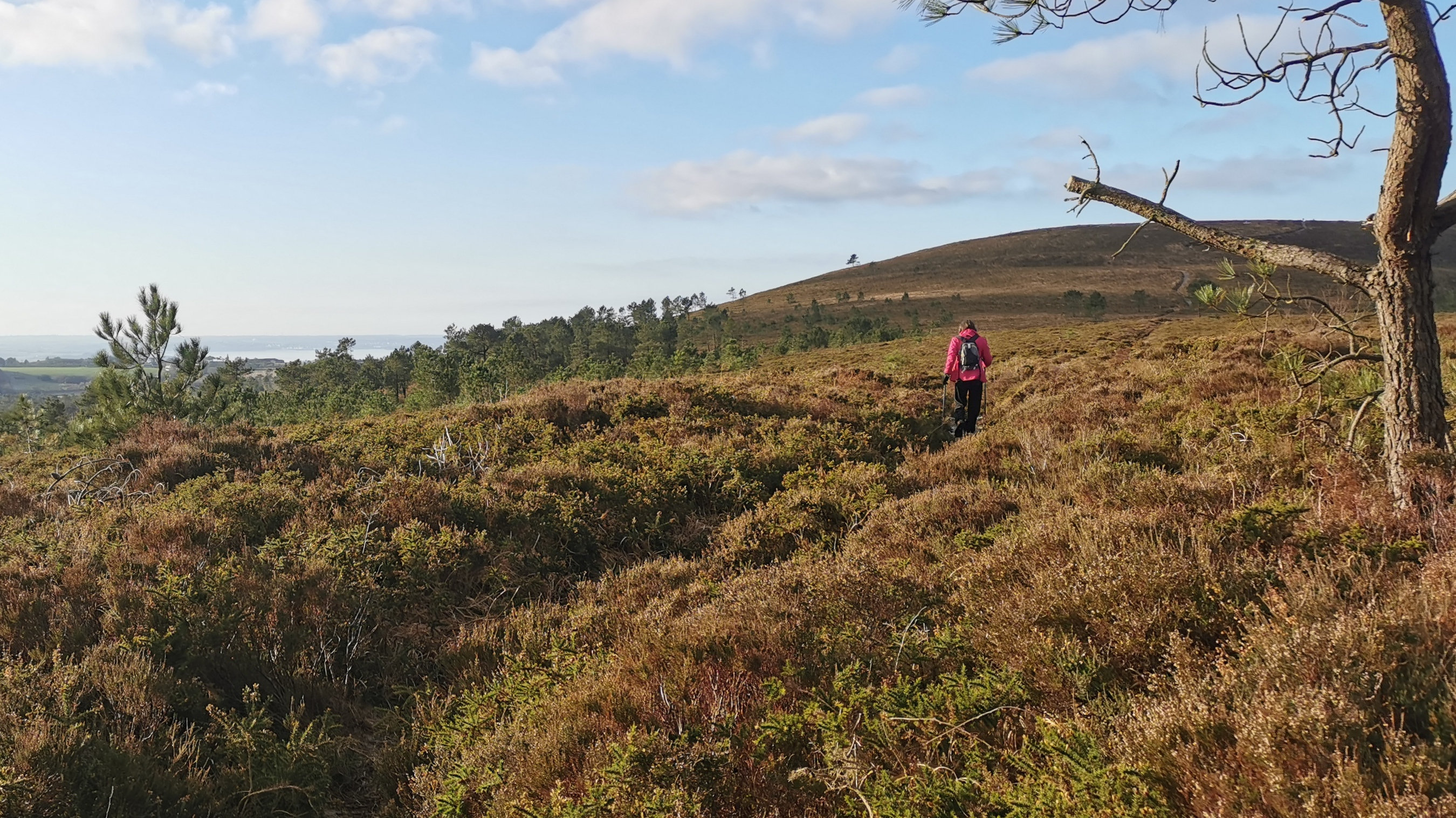 100-IMG_20210110_110027_1