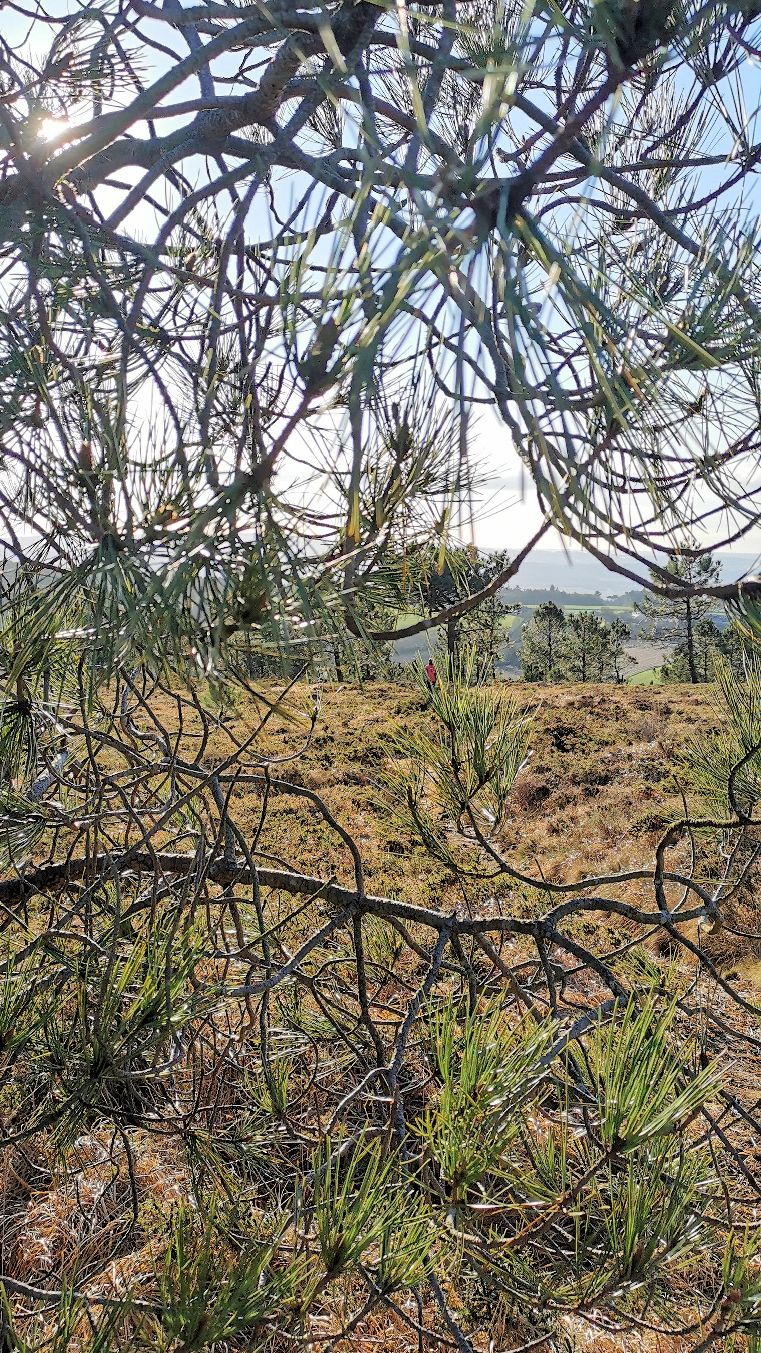 143-IMG_20210110_113528