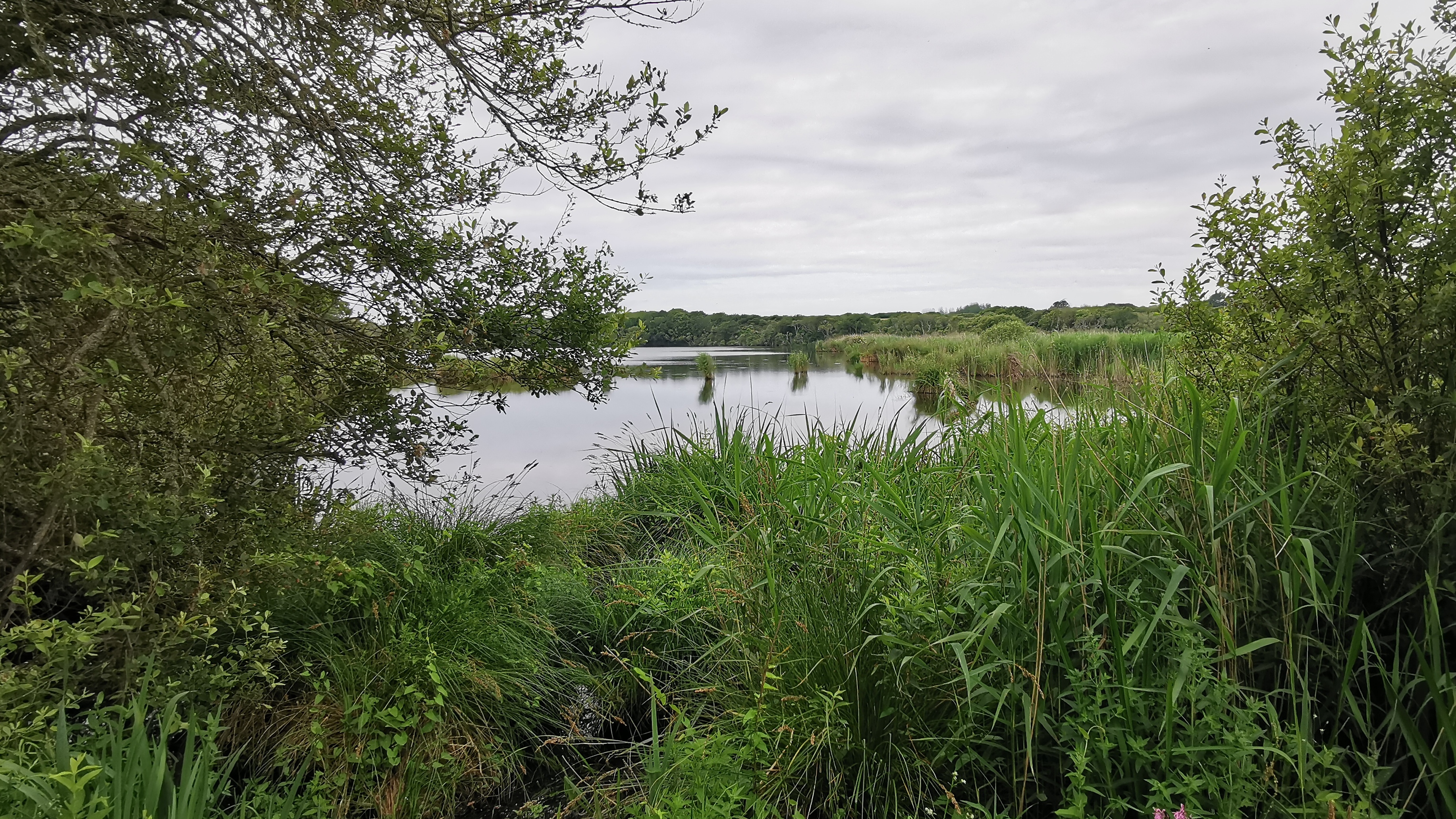 27-IMG_20210619_101220