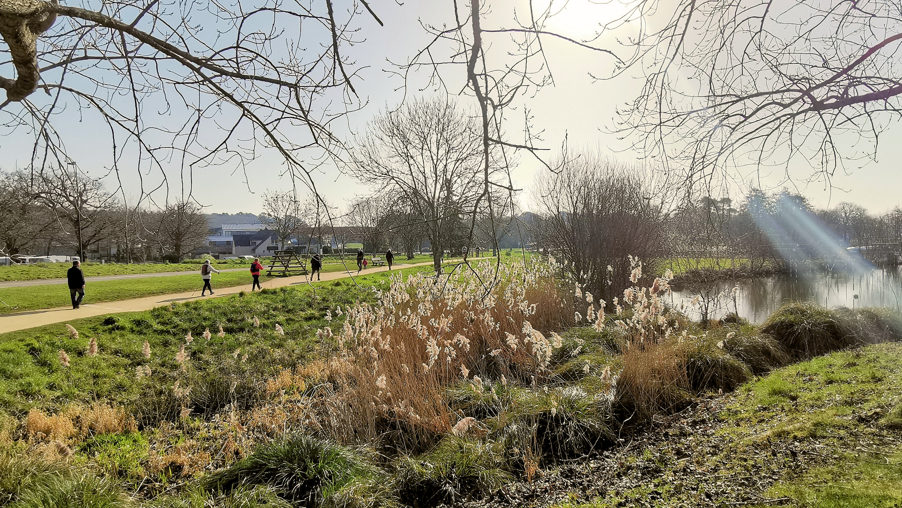 35-IMG_20210301_111428