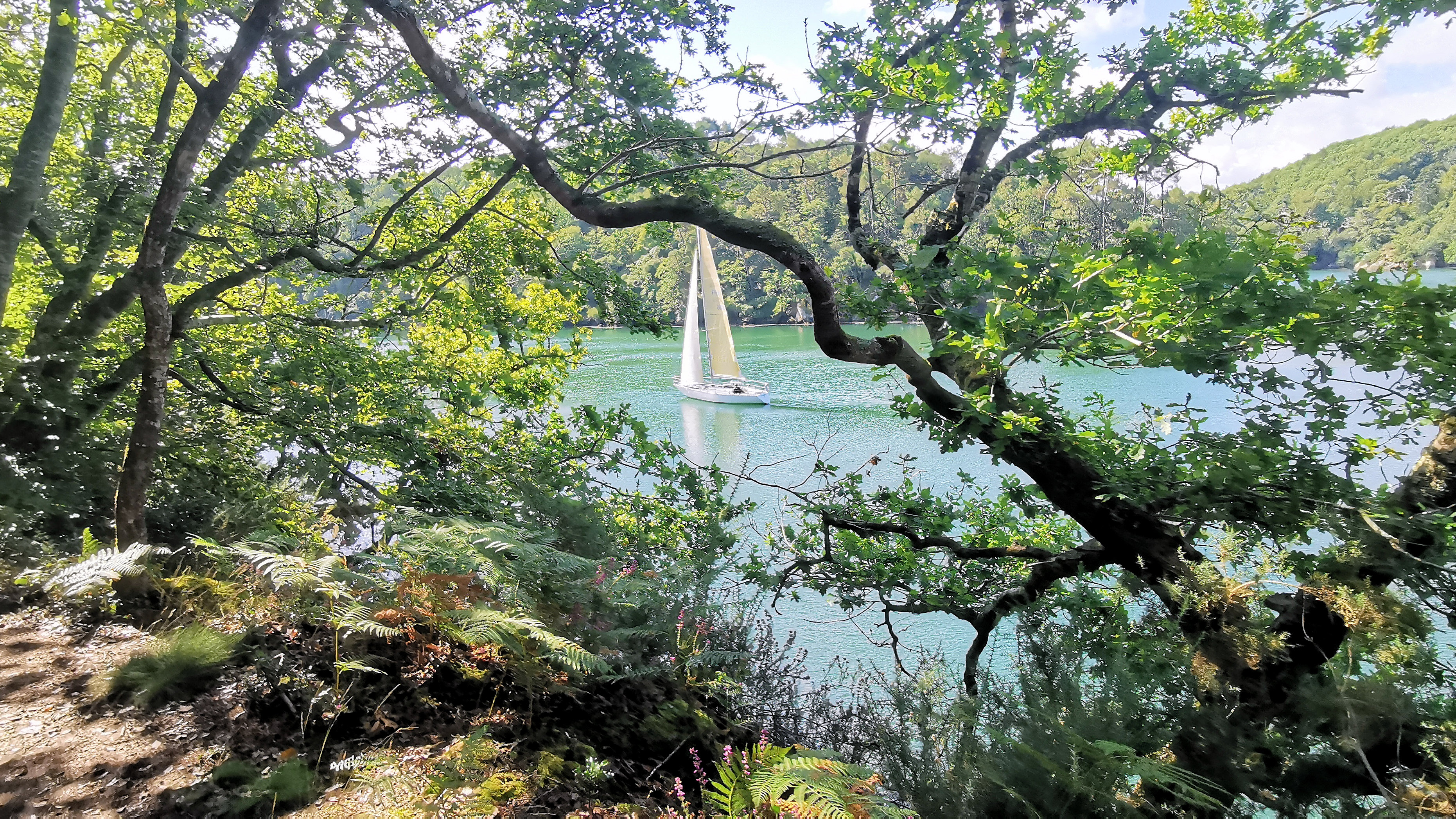 025-IMG_20210816_113109