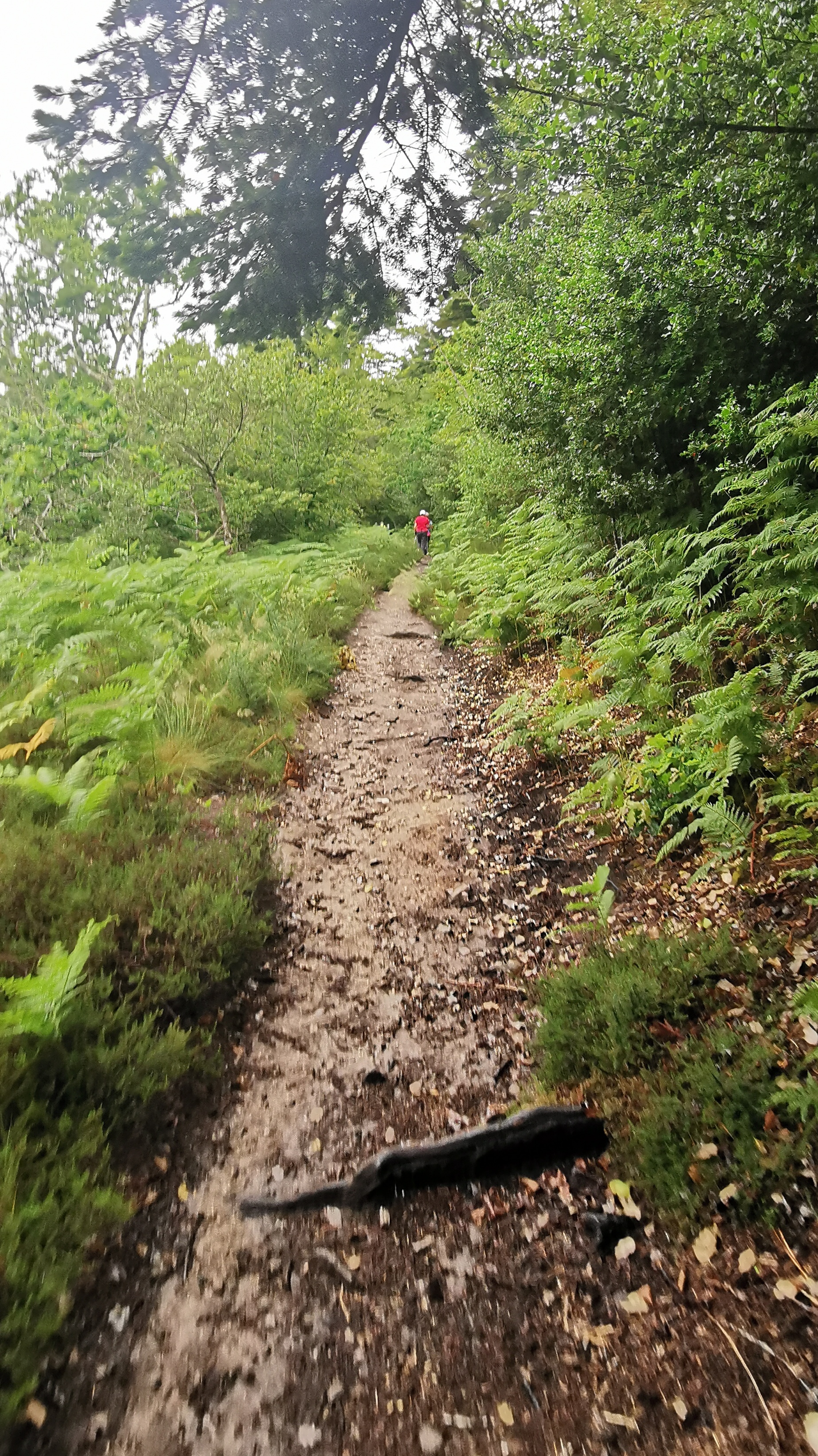 05-IMG_20210617_095319