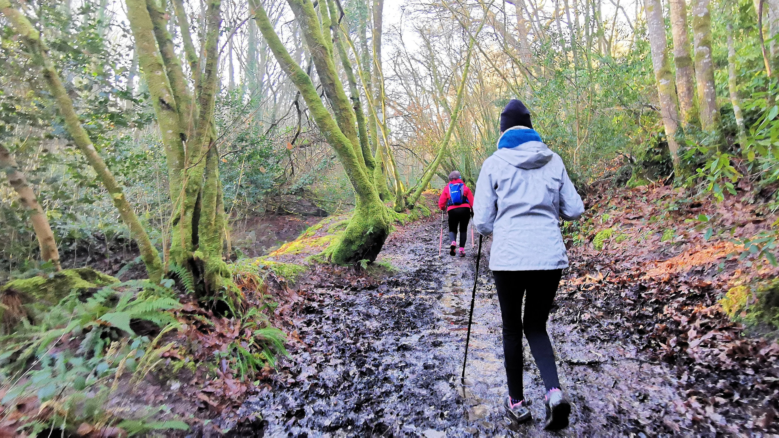 19-IMG_20210206_103106