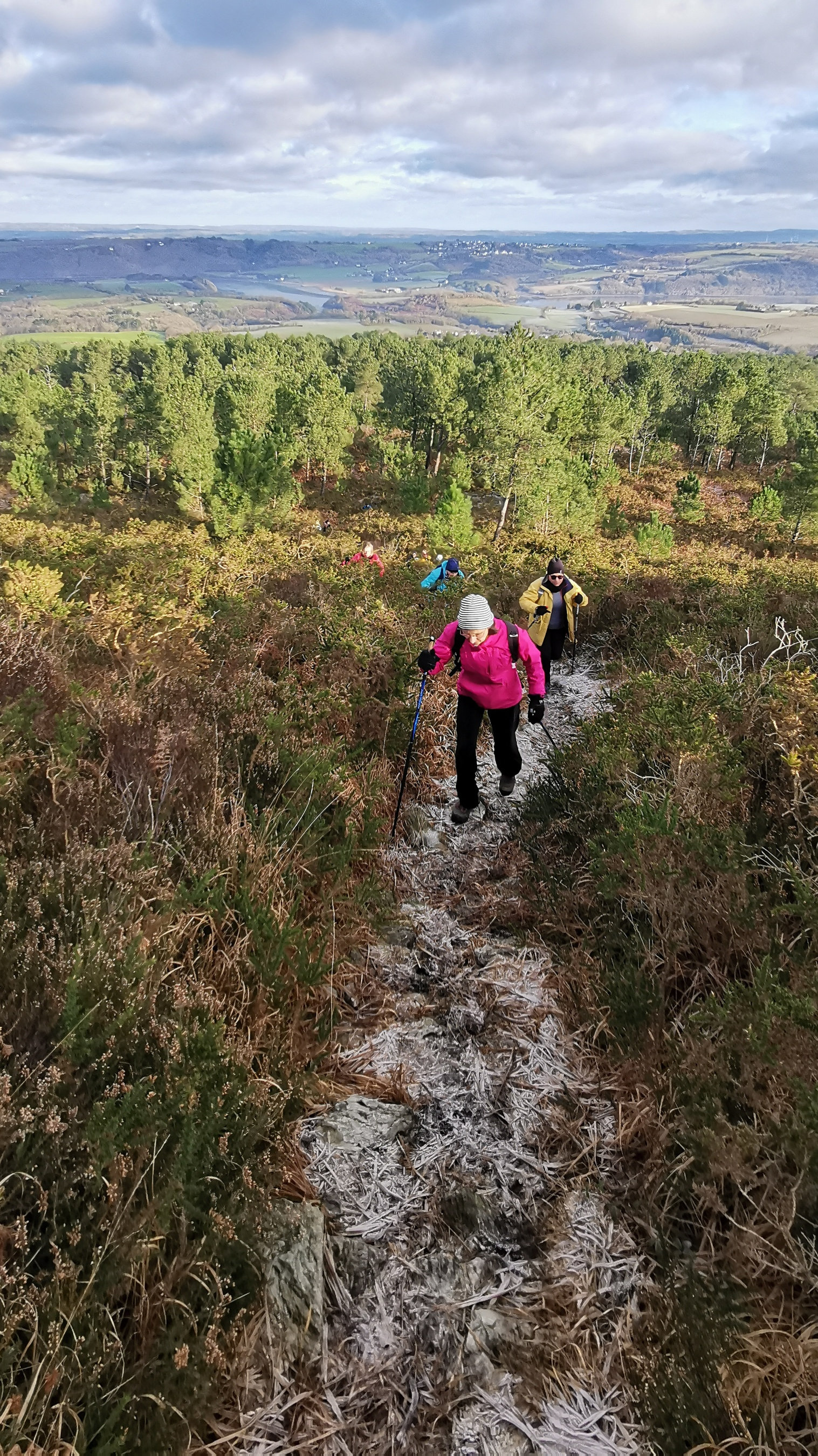 093-IMG_20210110_105634