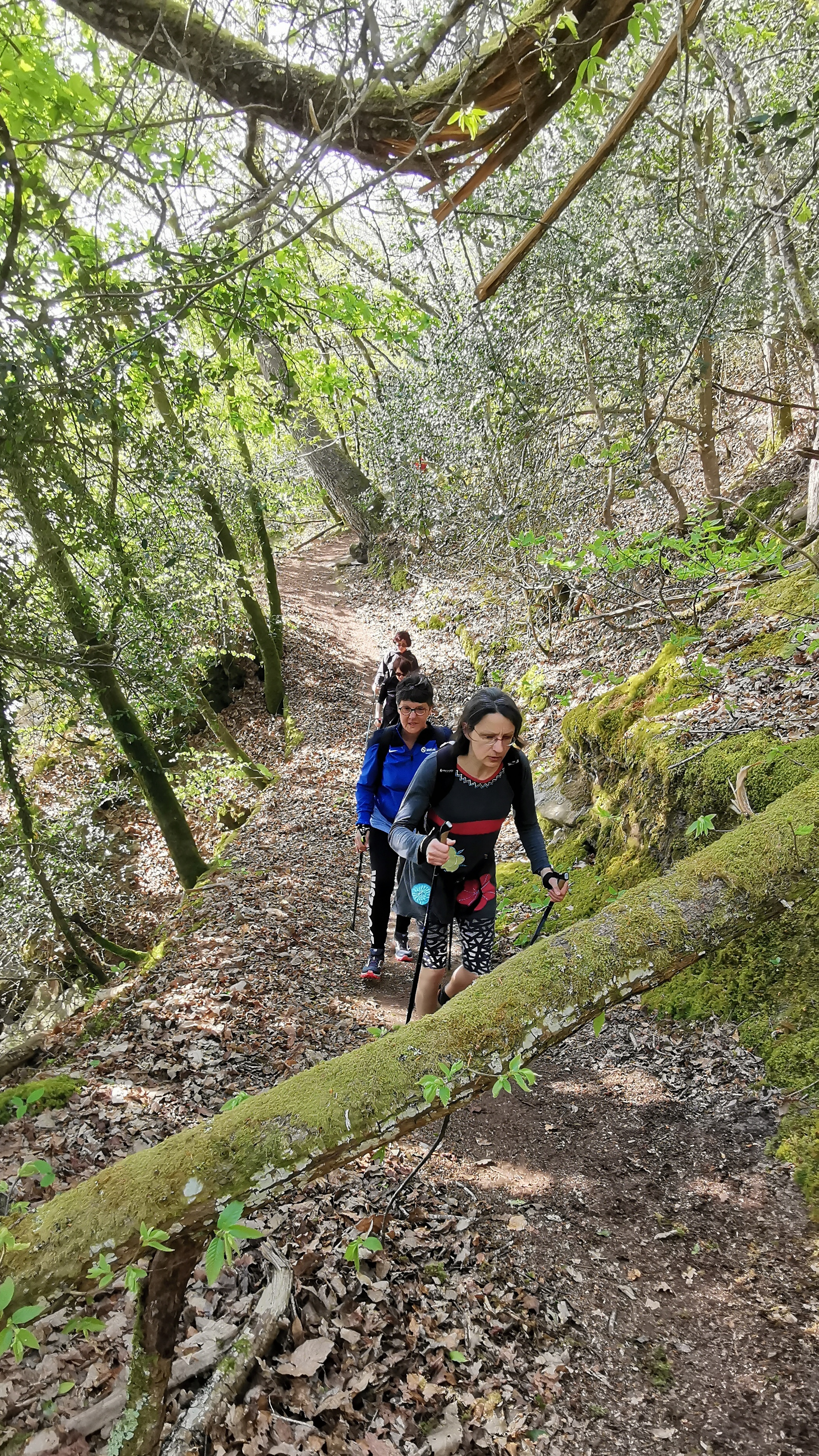 28-IMG_20210425_103807_1