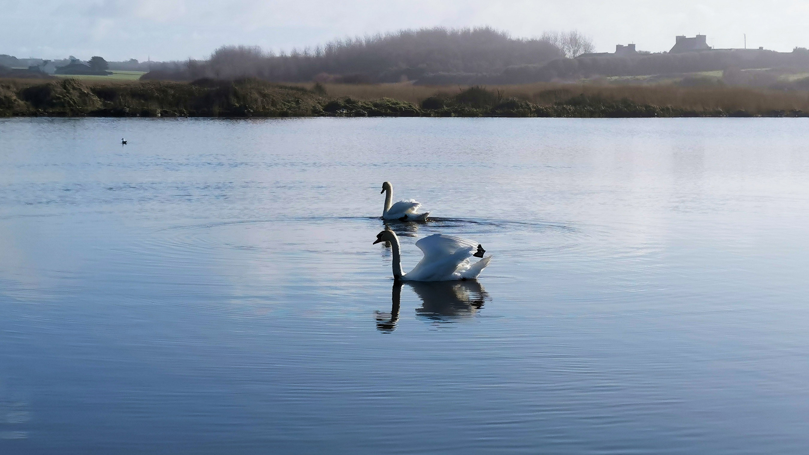 031-IMG_20210222_105933