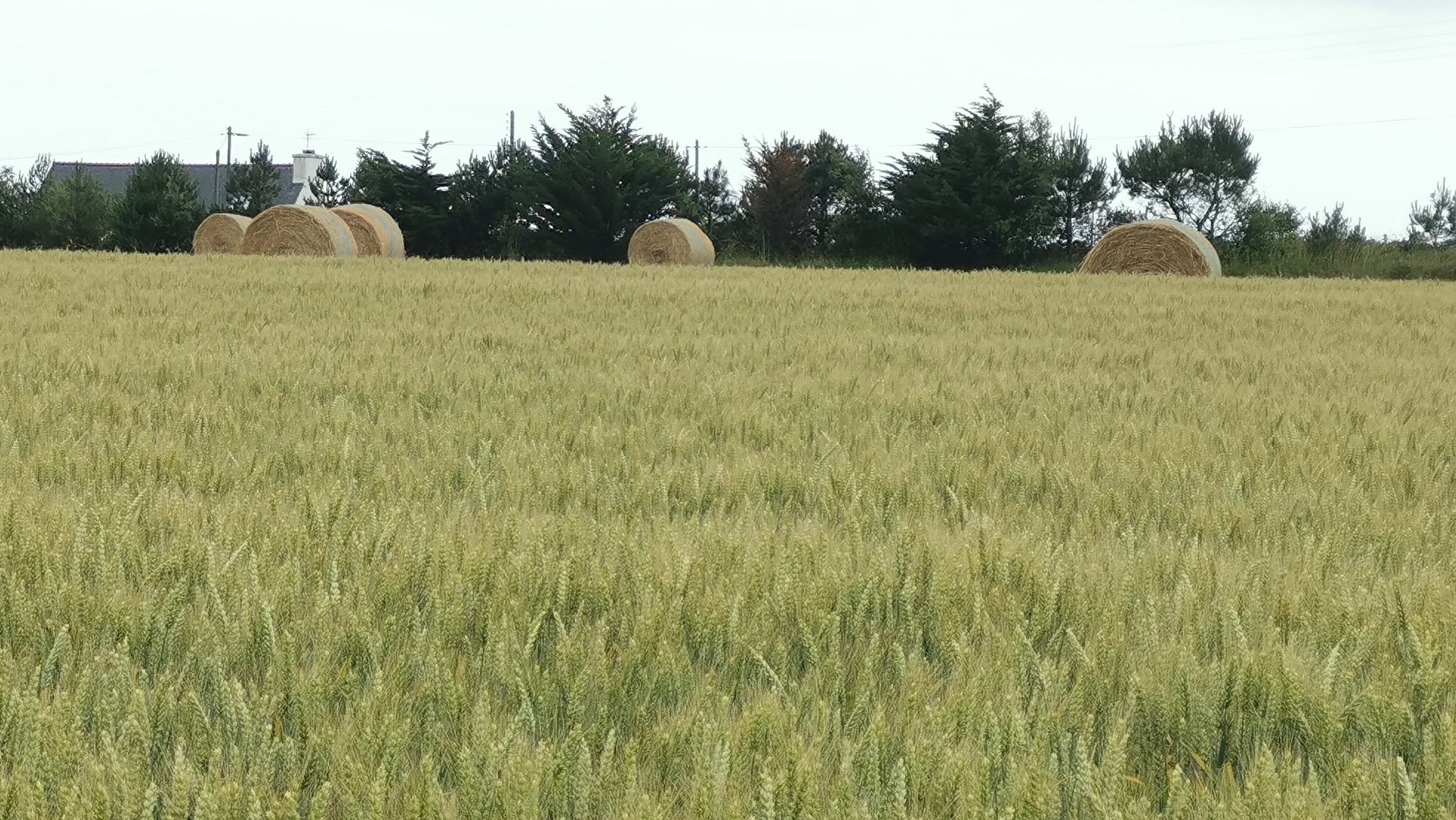 091-IMG_20210620_104901