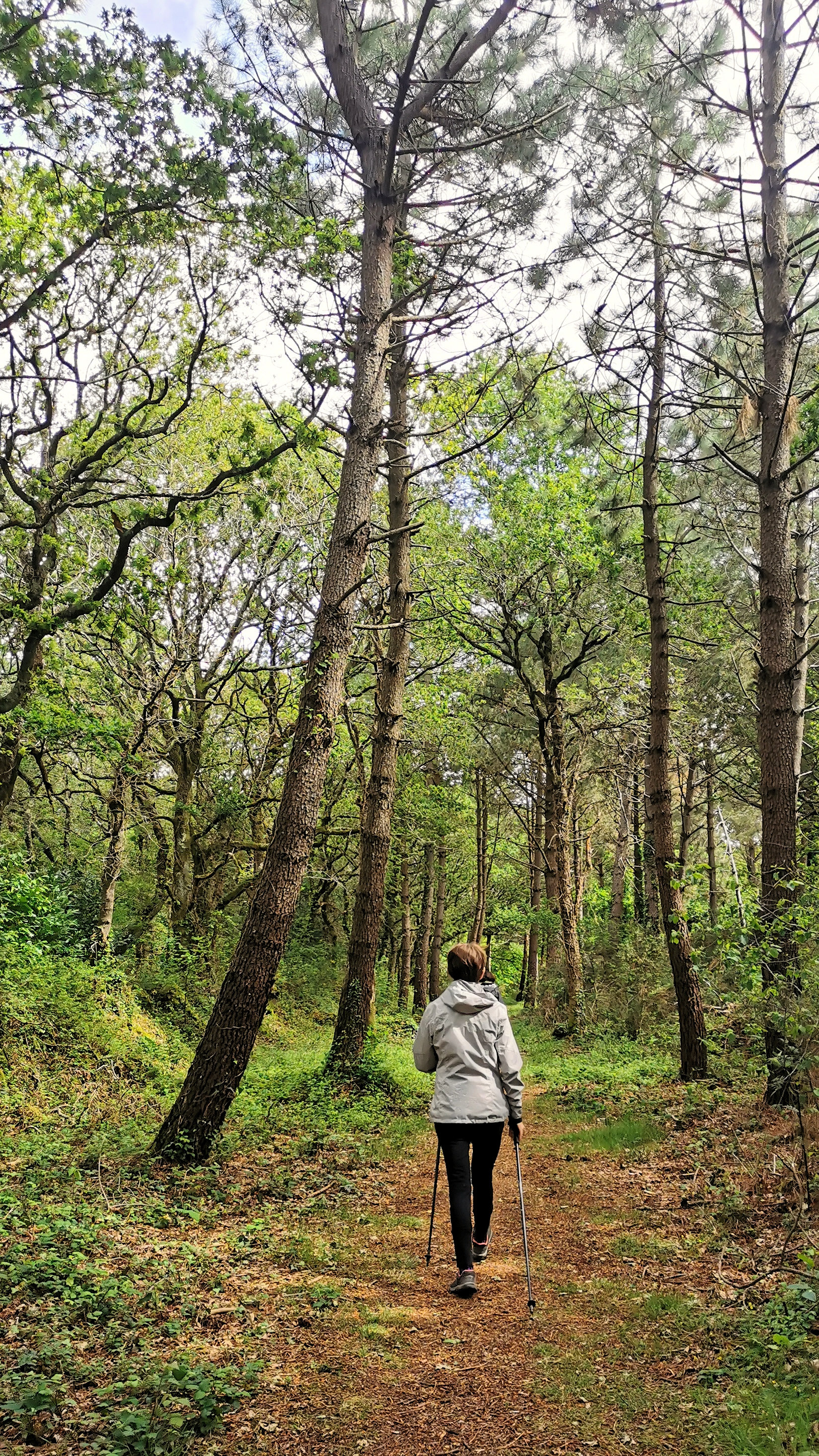 35-IMG_20210522_111509_1