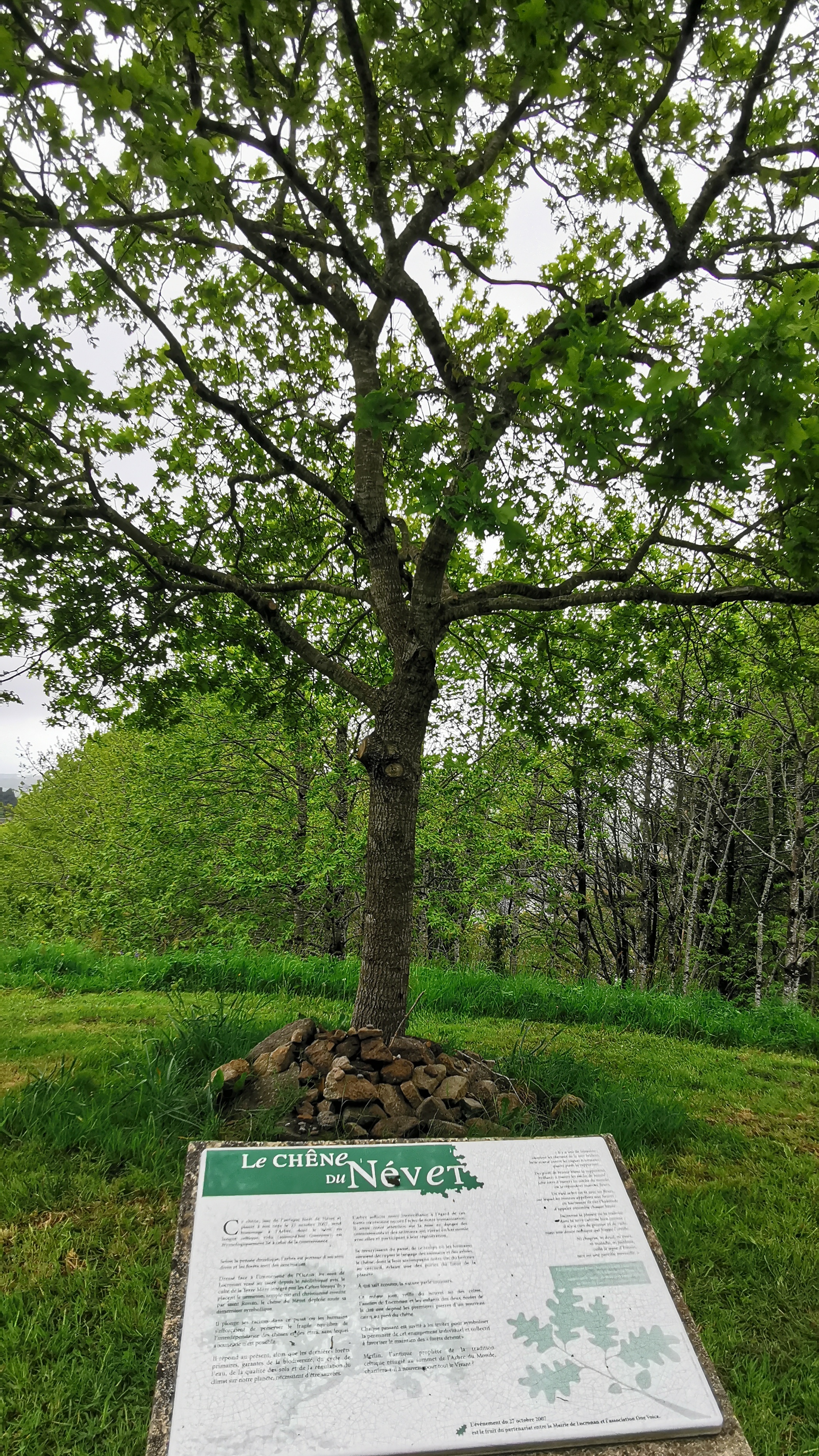 70-IMG_20210508_113231