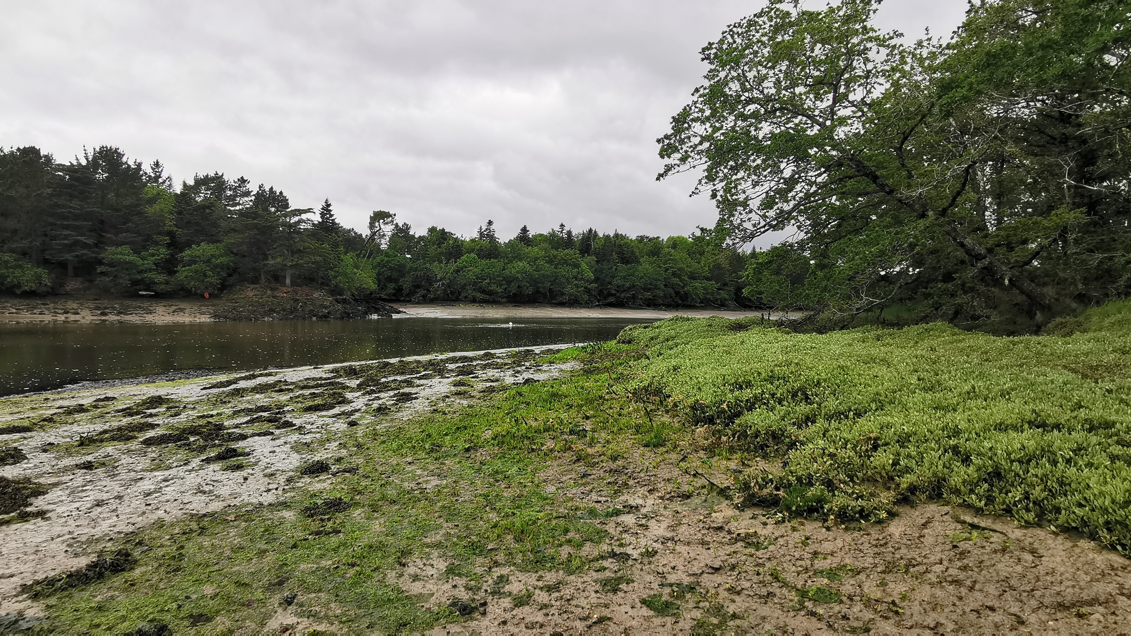 17-IMG_20210527_101708