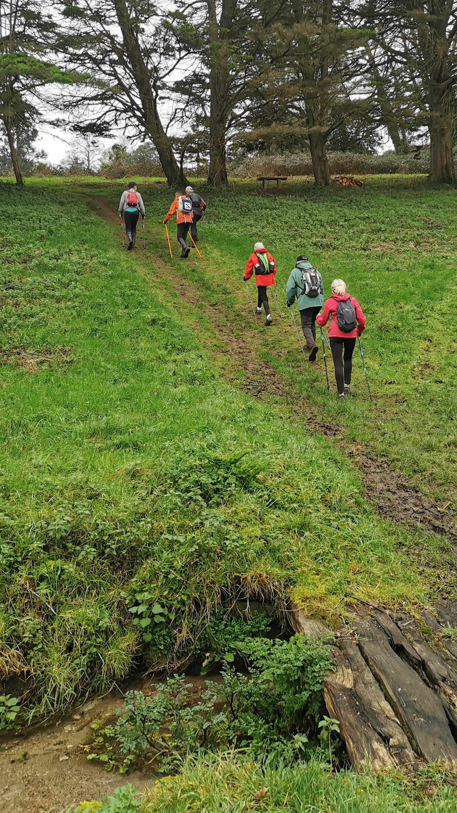 046-IMG_20210220_110511_1