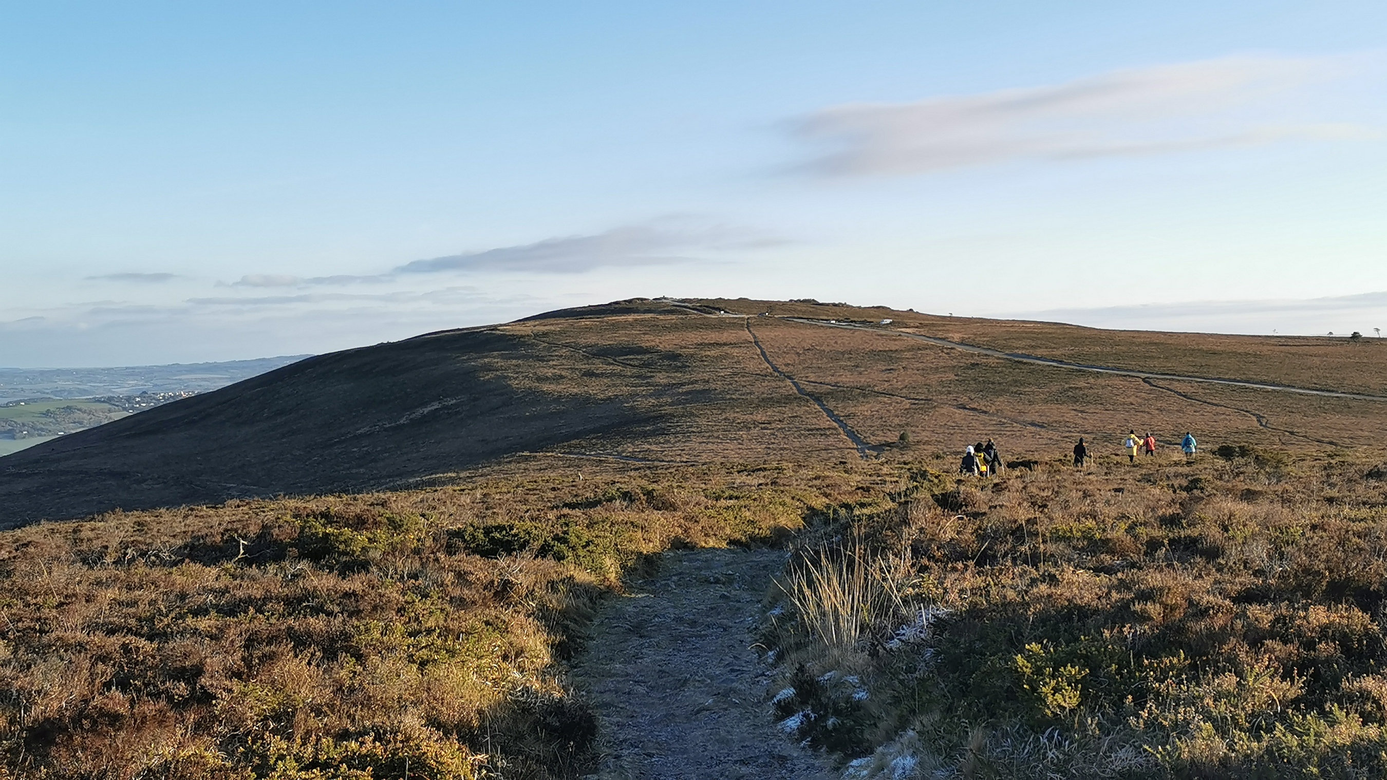 027-IMG_20210110_101055