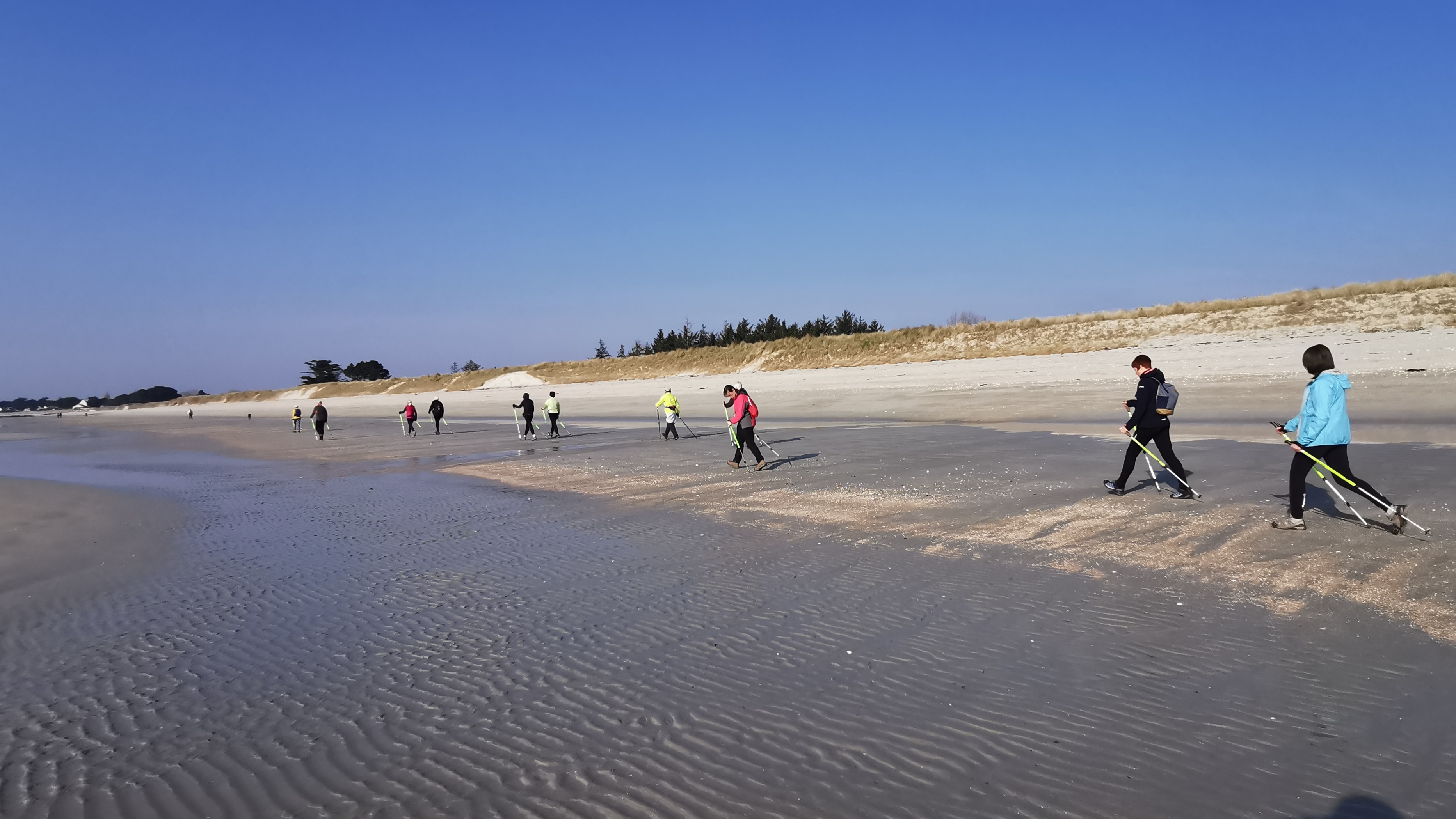 15-IMG_20210309_101529